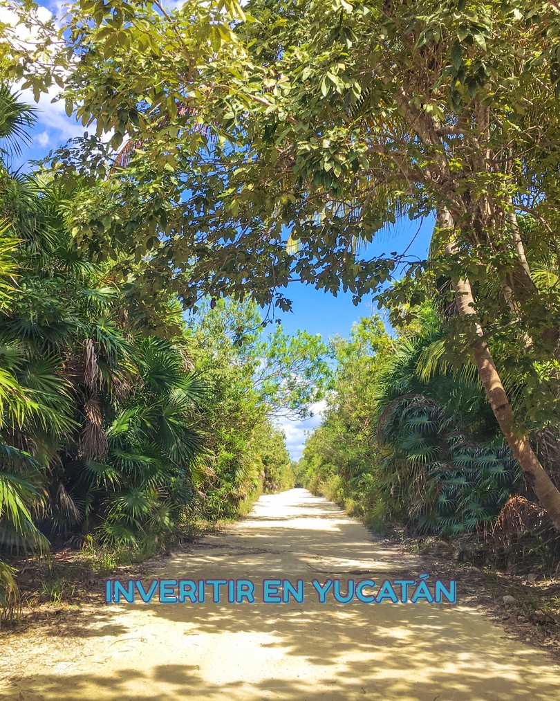 ¿Por qué invertir en Yucatán?