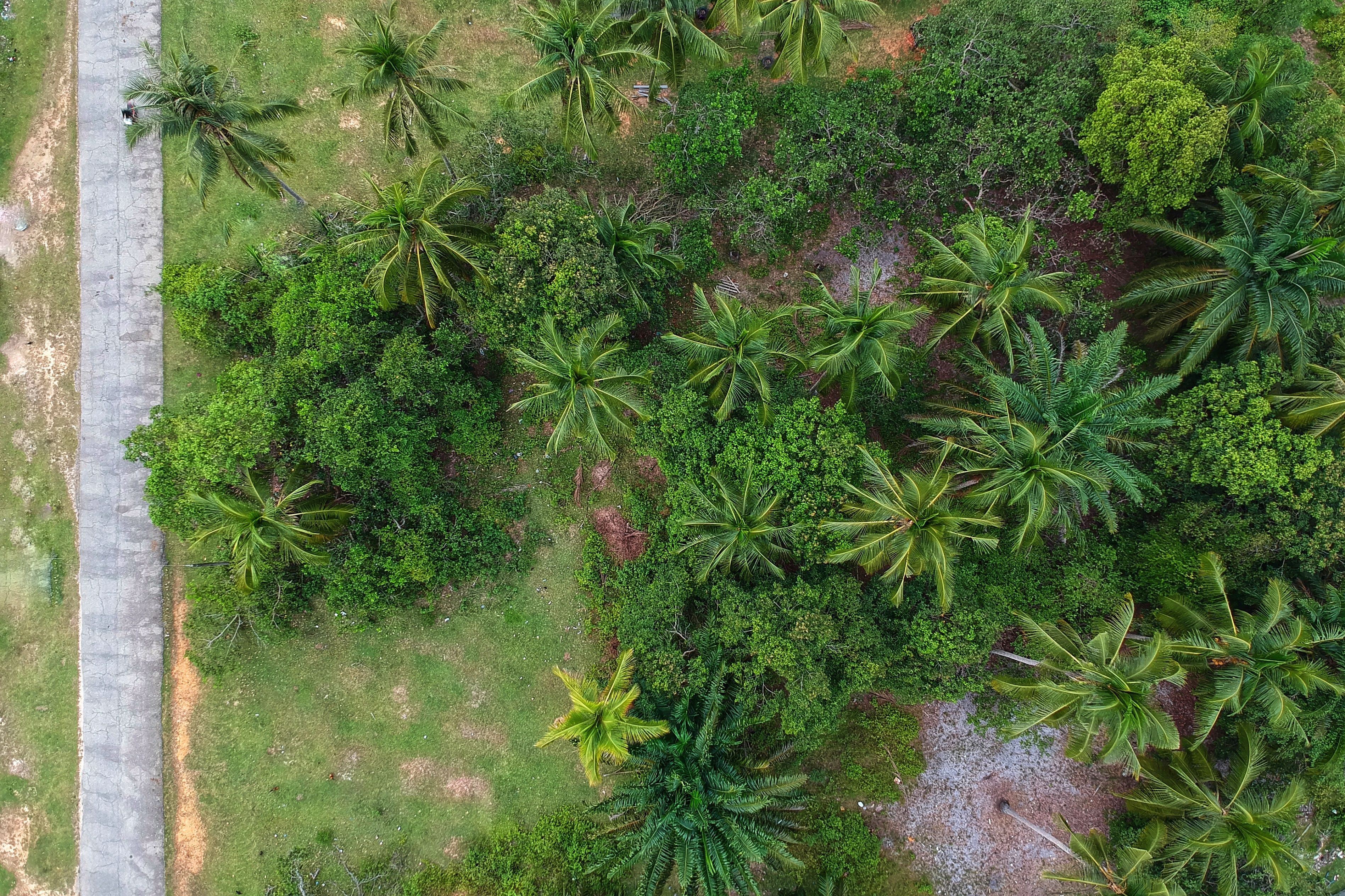 Buying Land in the Dominican Republic, From Title Check to Building Permit