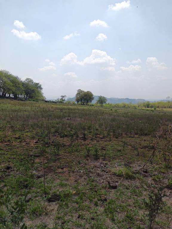 Inversión en Tierras Agrícolas en El Salvador: ¿Por qué Quezaltepeque es el Próximo Polo Ganadero?