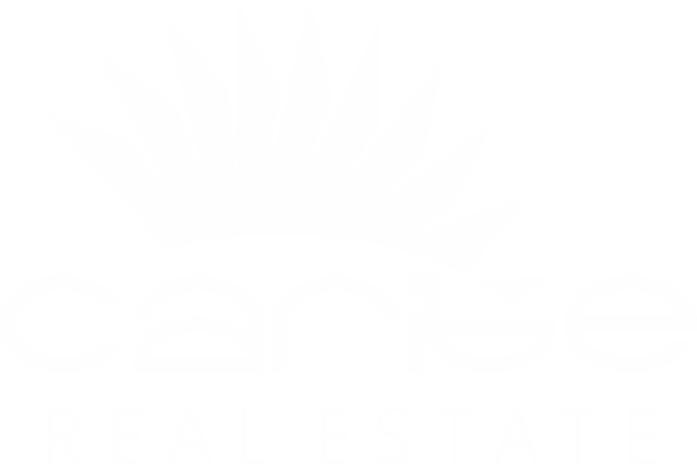 Caribe Real Estate logo
