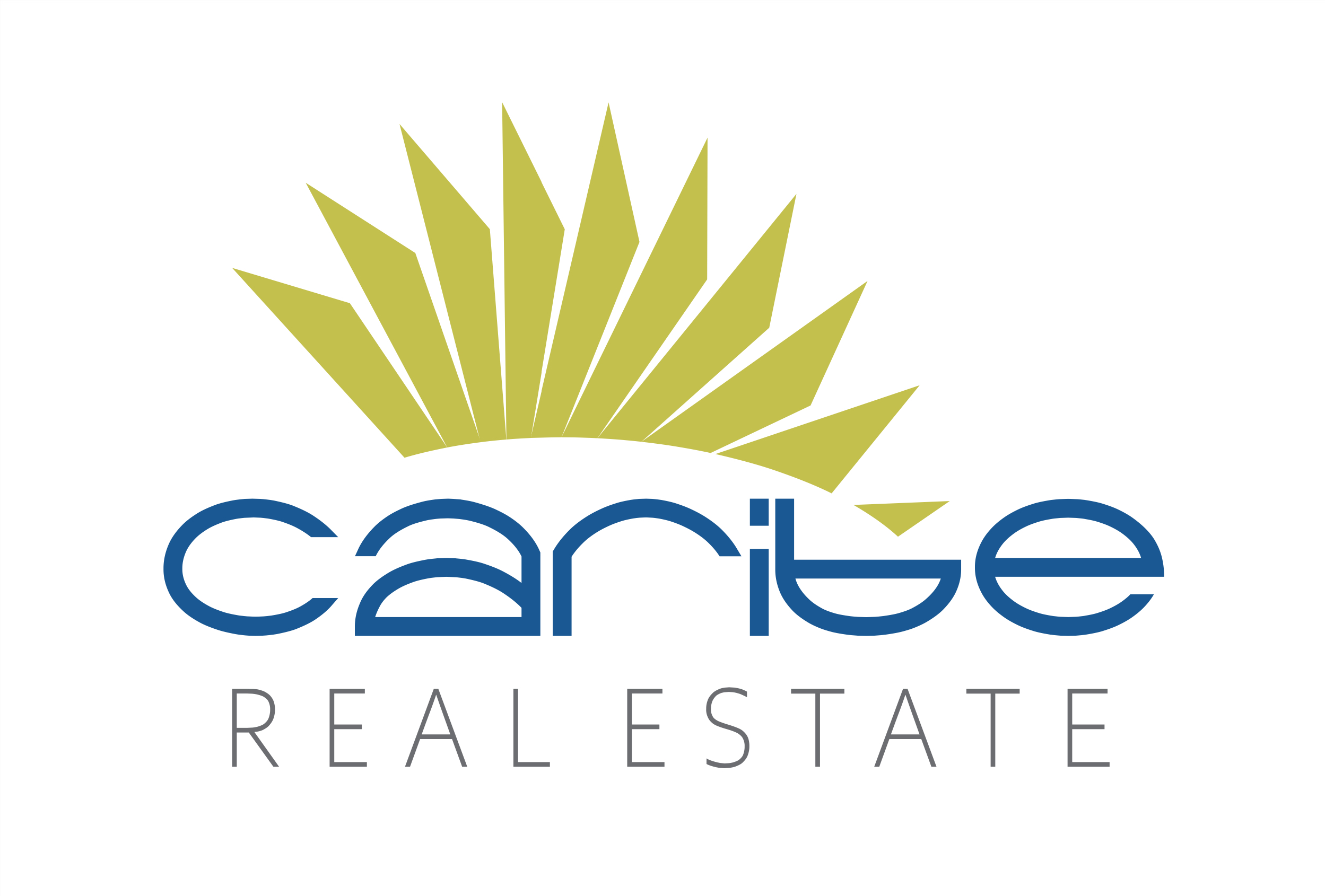 Caribe Real Estate logo