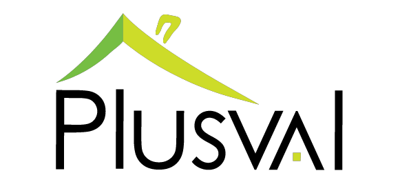 Salvador Figueroa - Plusval VD logo