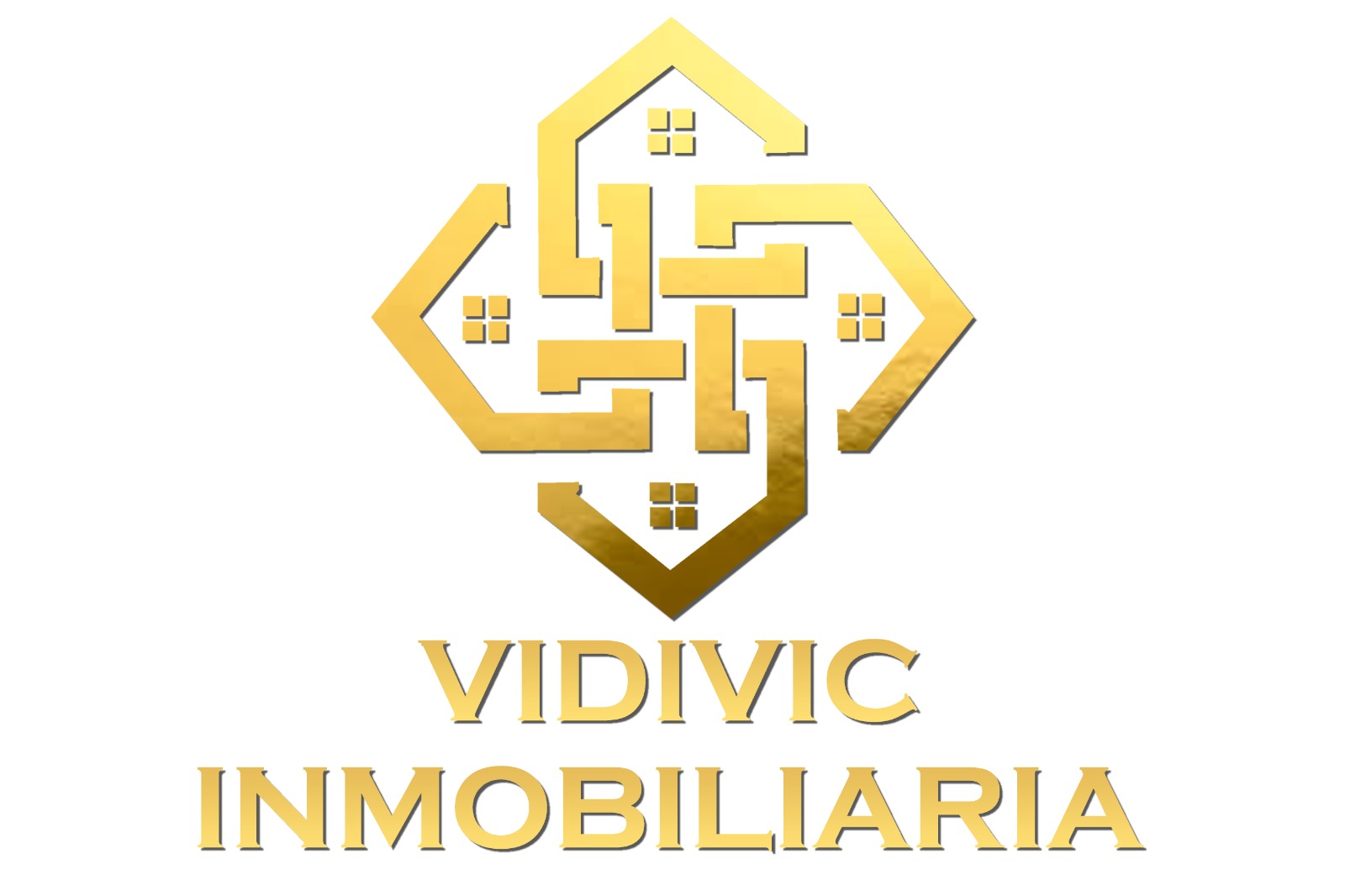VIDIVIC SRL logo