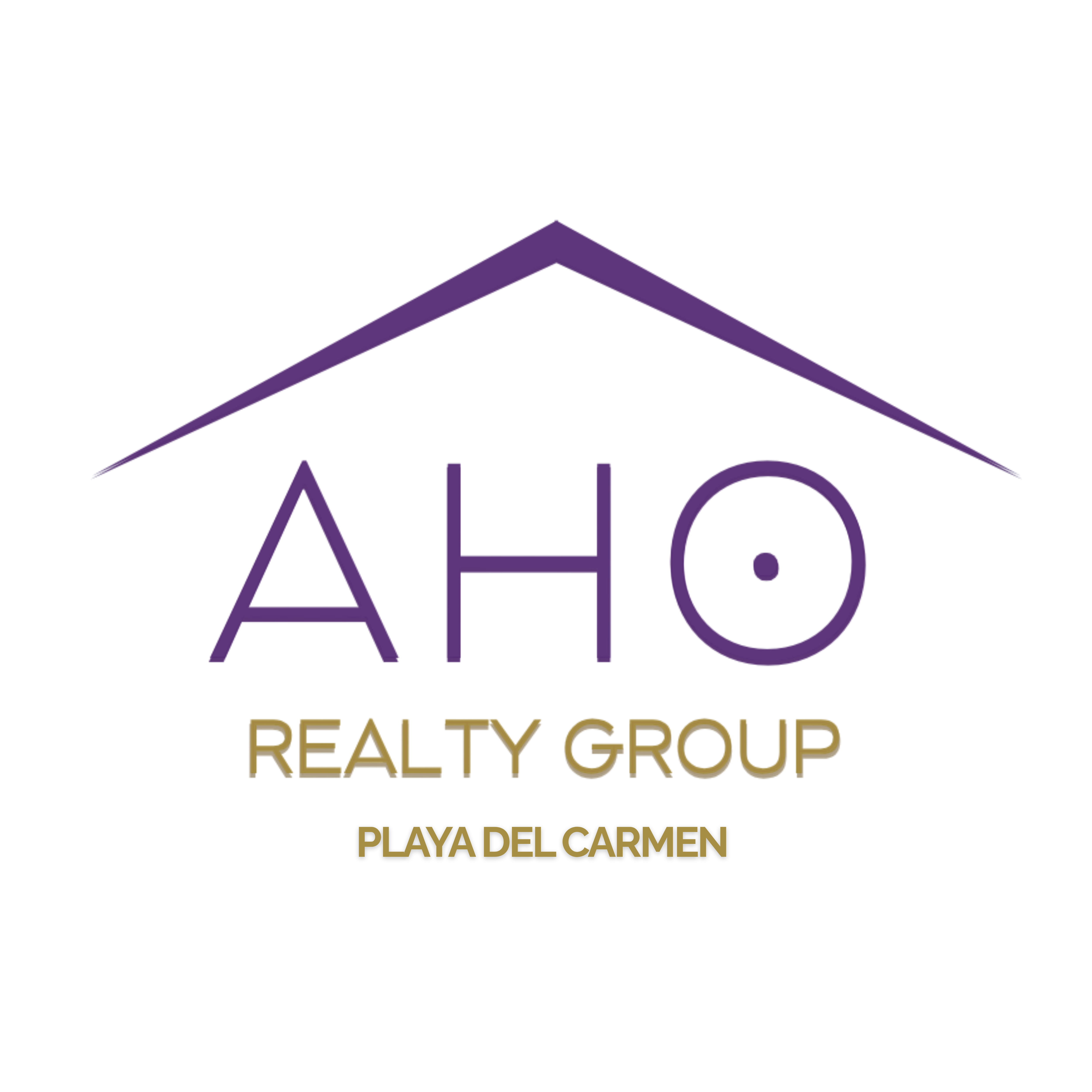 AHO Realty Group logo
