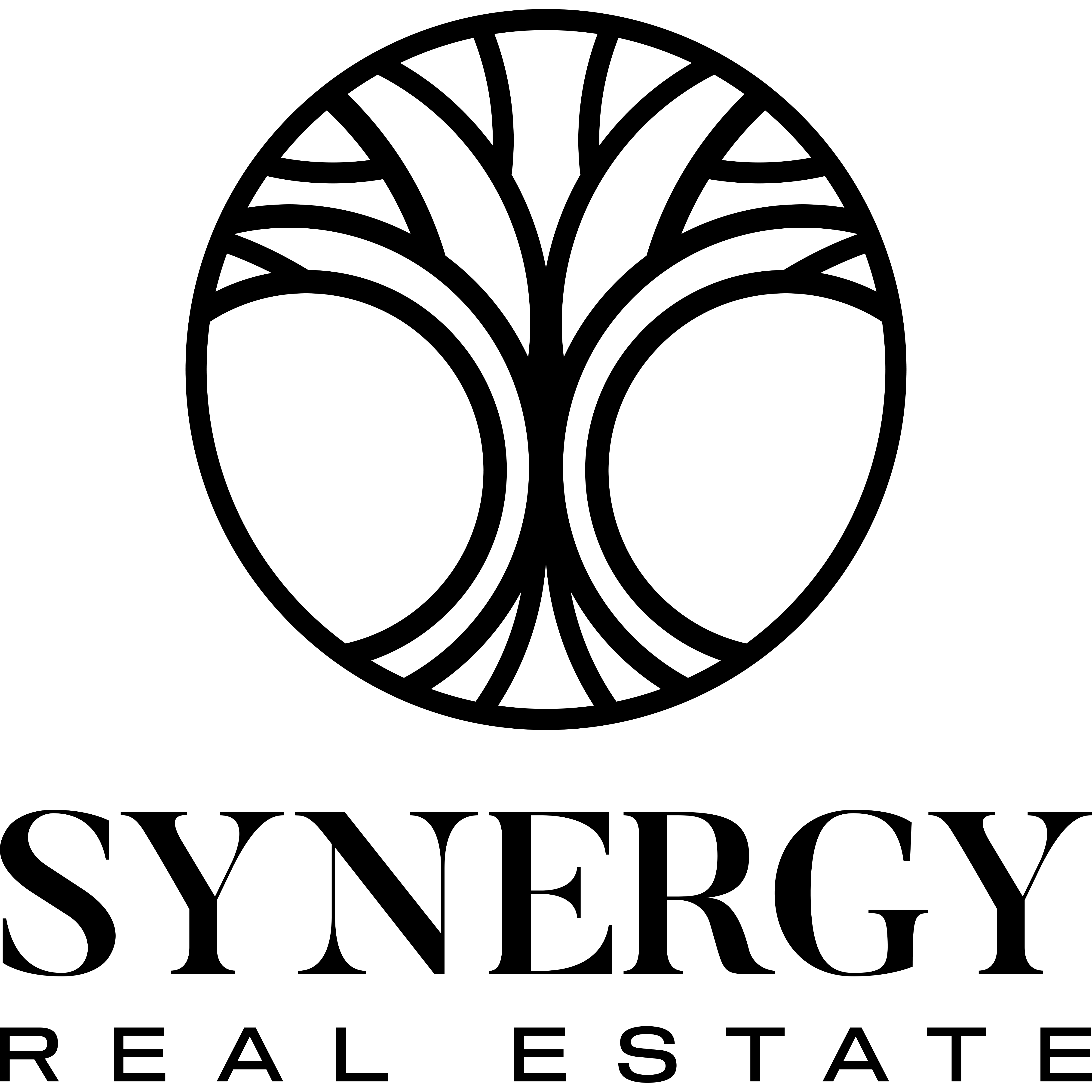 Synergy Real Estate logo