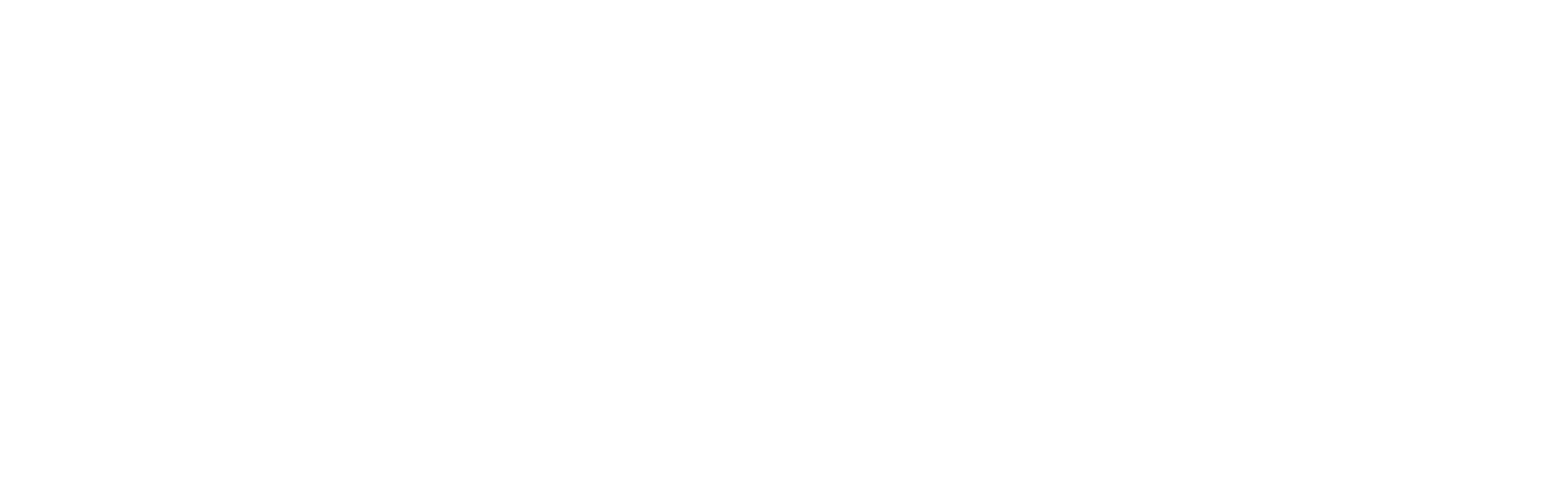 Sayo Realty group logo