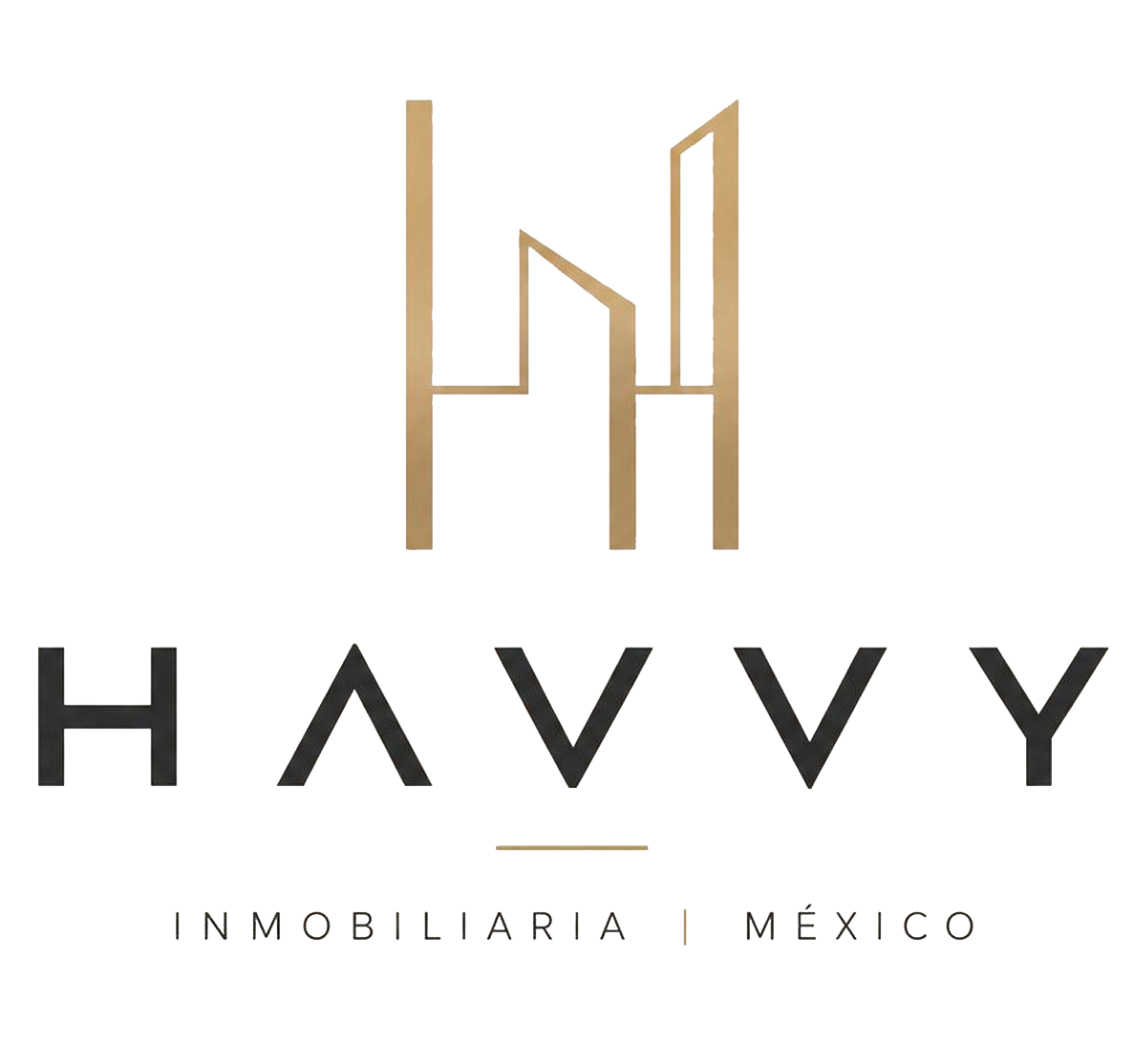 Havvy Inmobiliaria logo