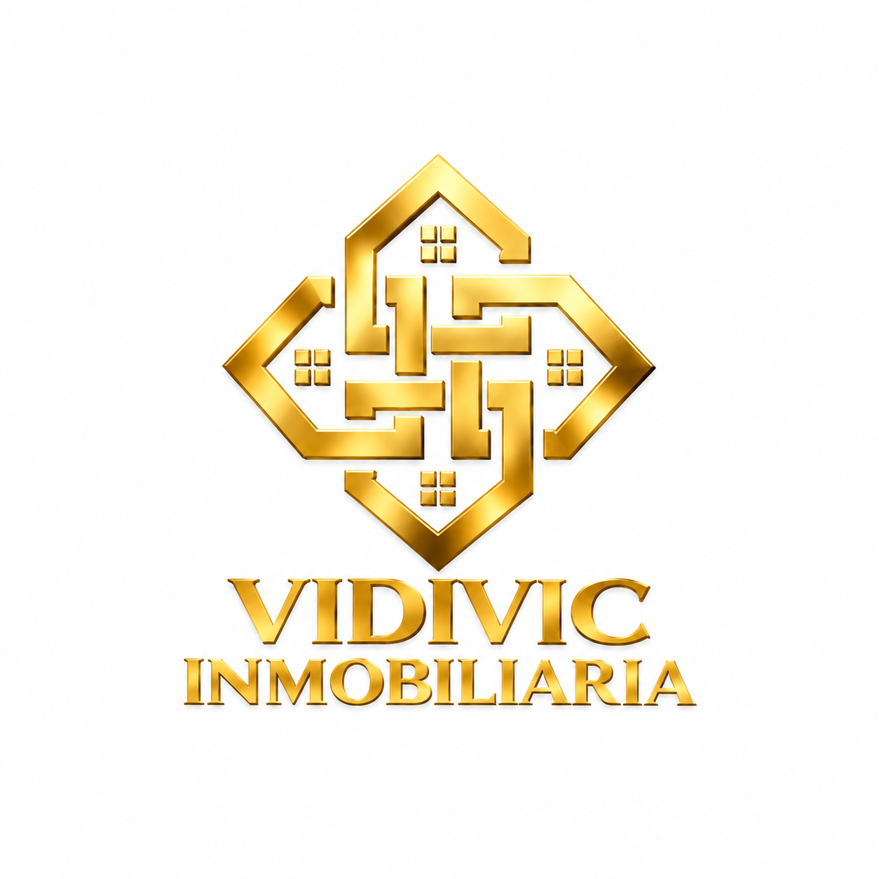 VIDIVIC INMOBILIARIA SRL