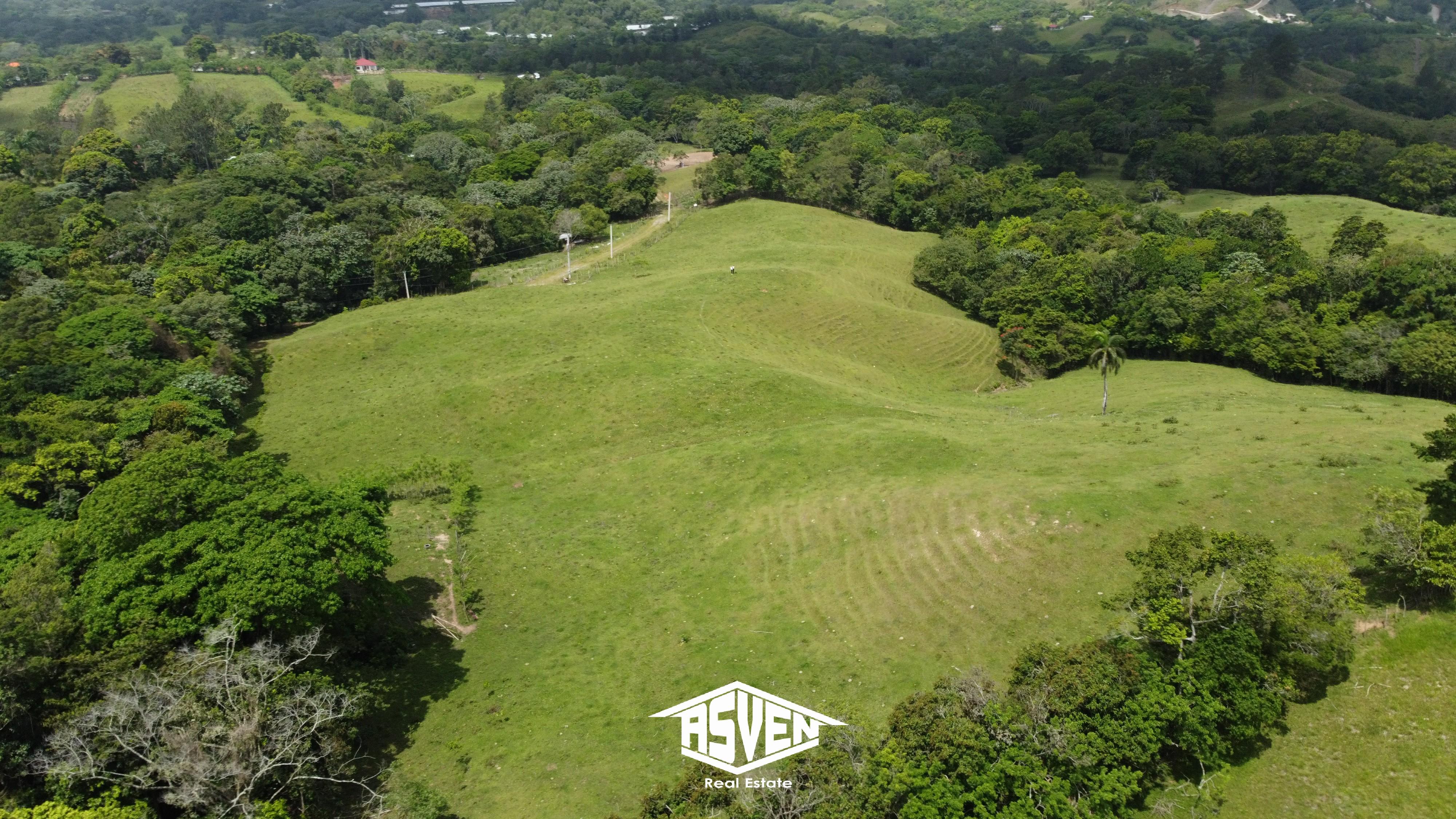 Venta Finca 1,200 Tareas en Buena Vista Jarabacoa RD$750Mil/Tarea