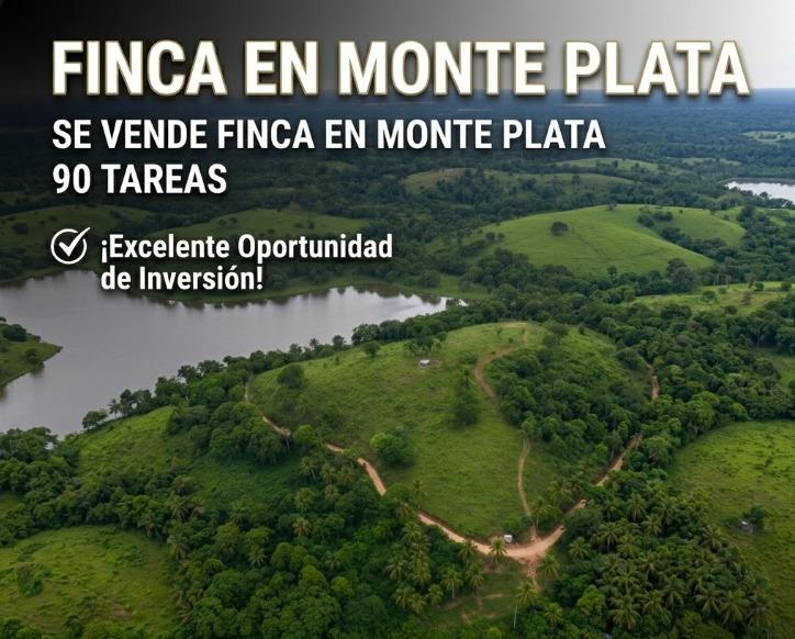 Finca en venta en Manga, Monte Plata