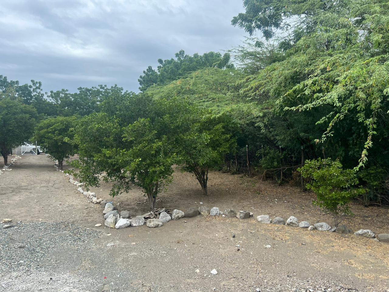 Terreno en venta en Azua, Azua