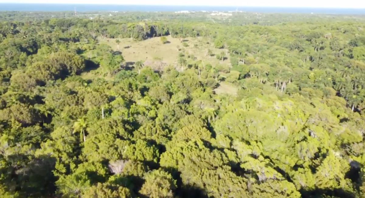 110,000 SQ Meters Of Land