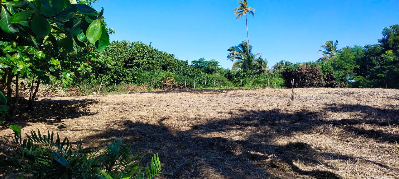 Solar en Punta Cana, foto 2