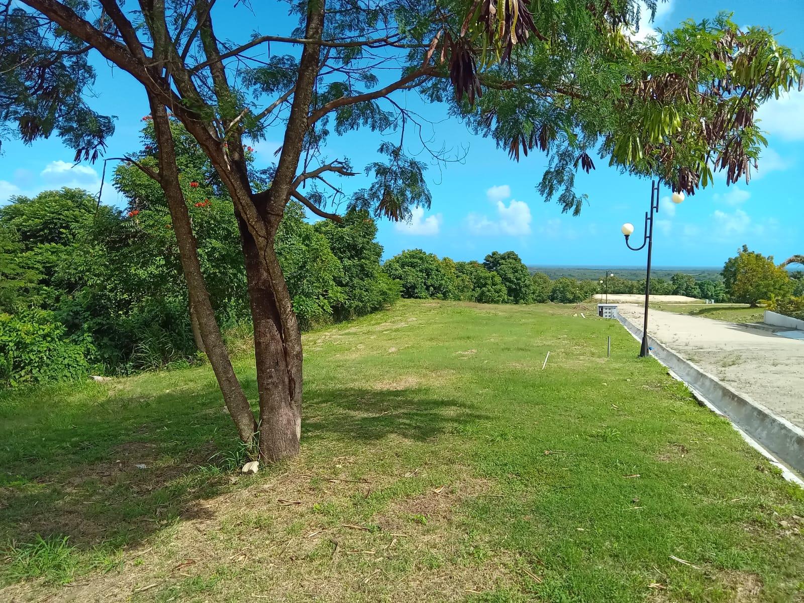 Terreno 888 m² en The Palms - Star Hills