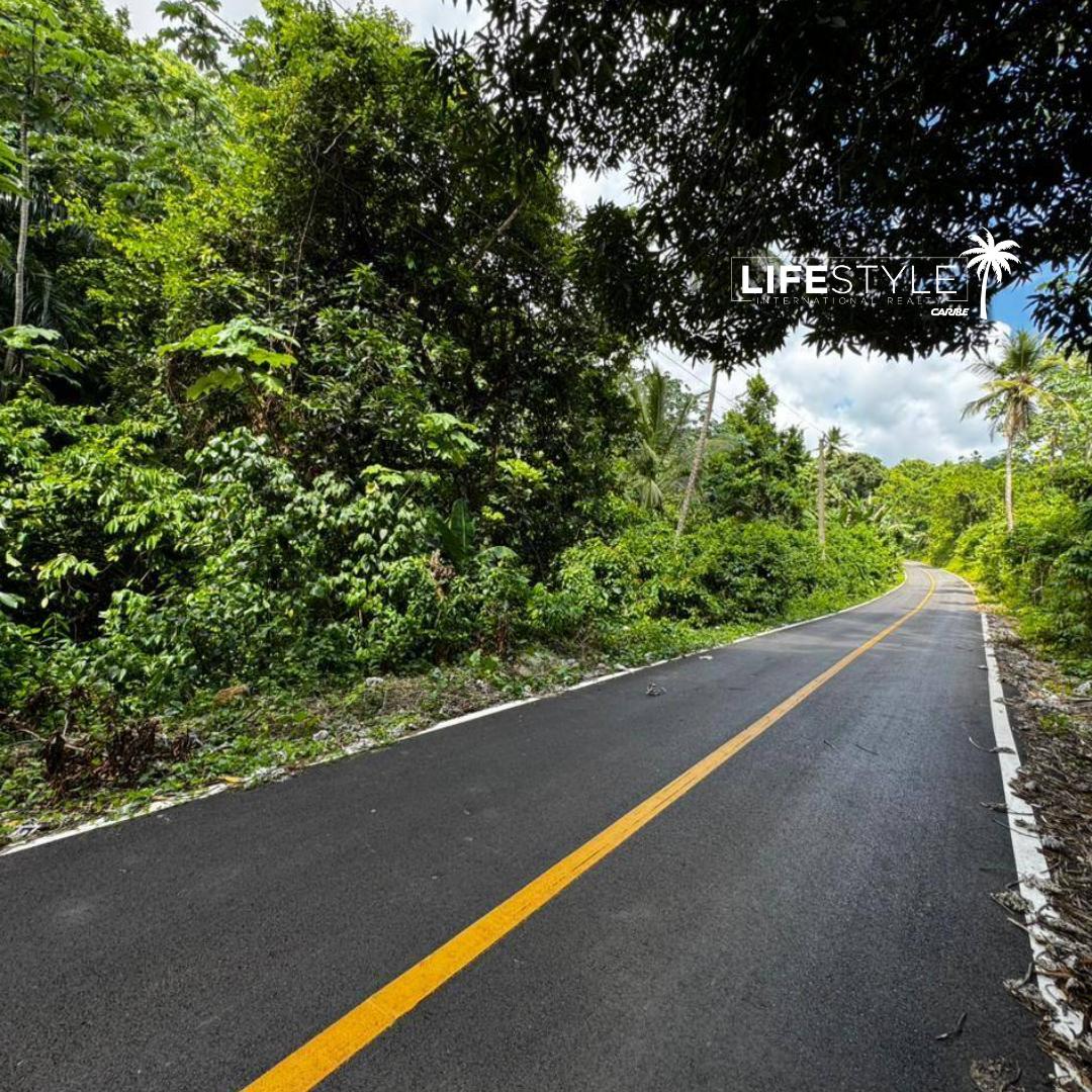 Lot in El Valle