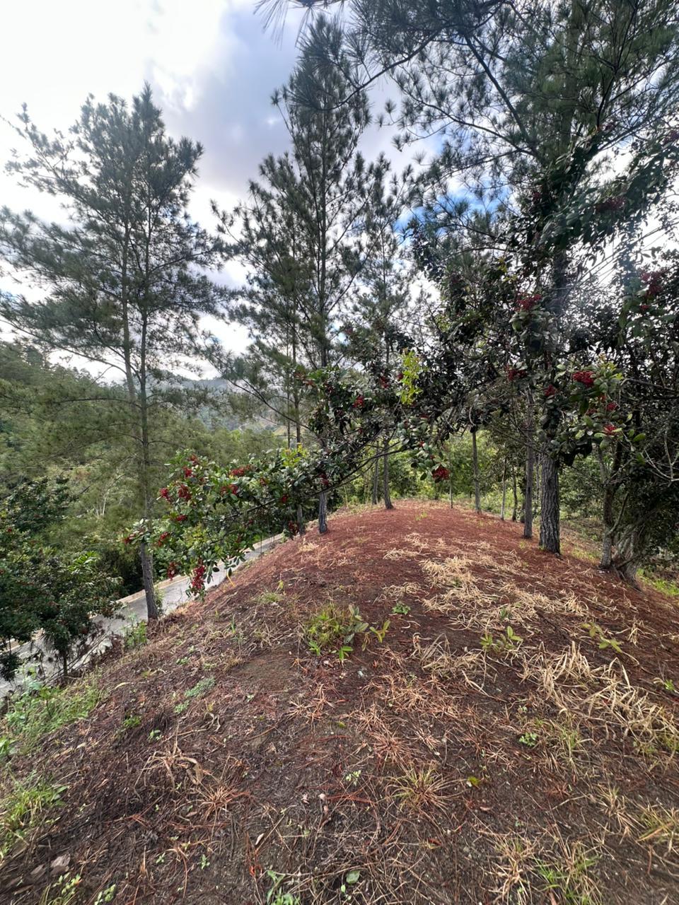 Lot in Jarabacoa