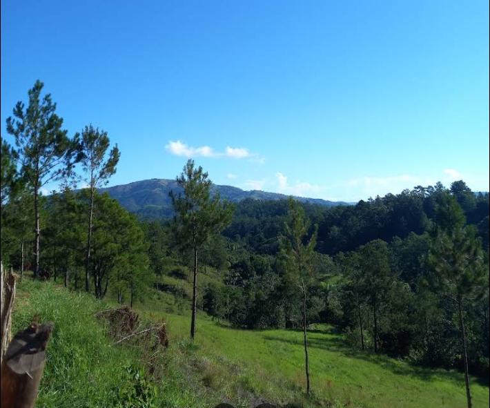 VENDE FINCA EN JARABACOA, CULTIVADAD