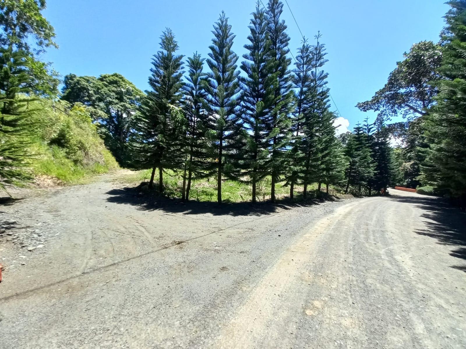 Solar / Terreno en Rancho Arroyo Naranjo de jarabacoa, La Vega