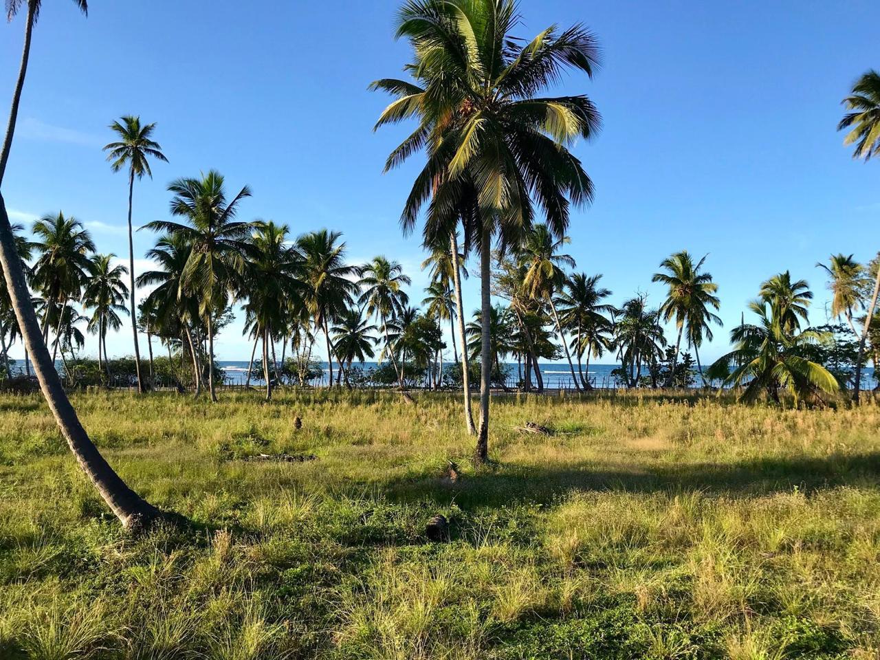 Terreno frente al mar en Playa El Anclón, Las Terrenas 1,720 m²
