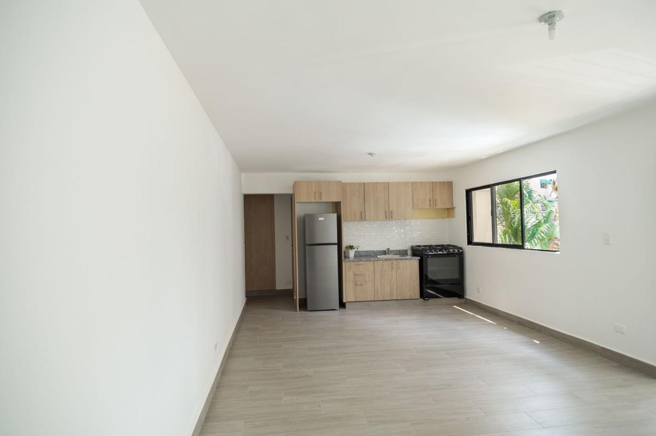 Apartamento en Alquiler en Gazcue
