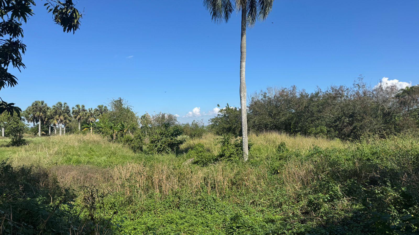 Terreno en Venta en Moca, Espaillat | 32,701 m² | Frente a Carretera Mella