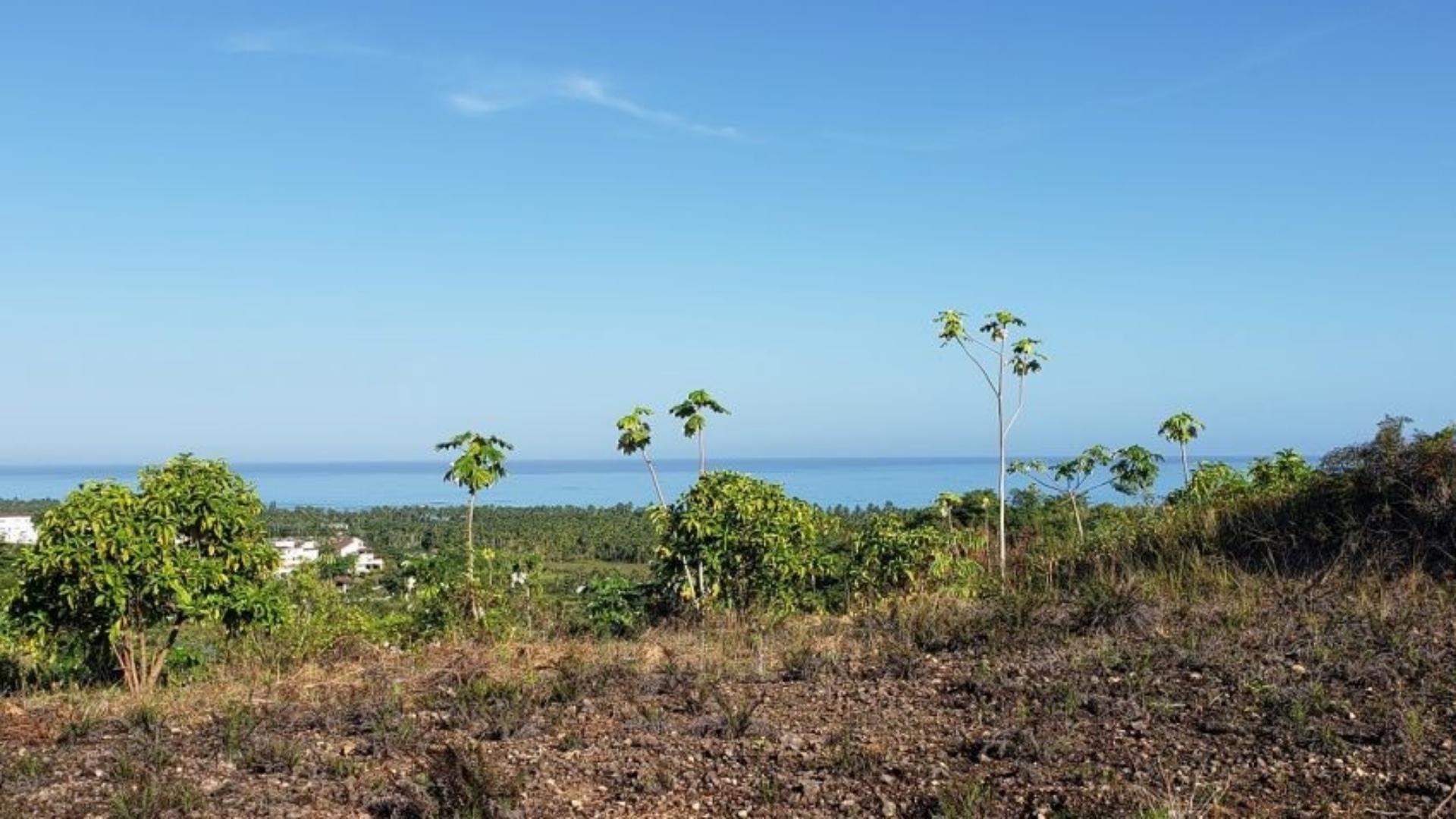 Exceptional Land for Sale in La Ceiba Las Terrenas