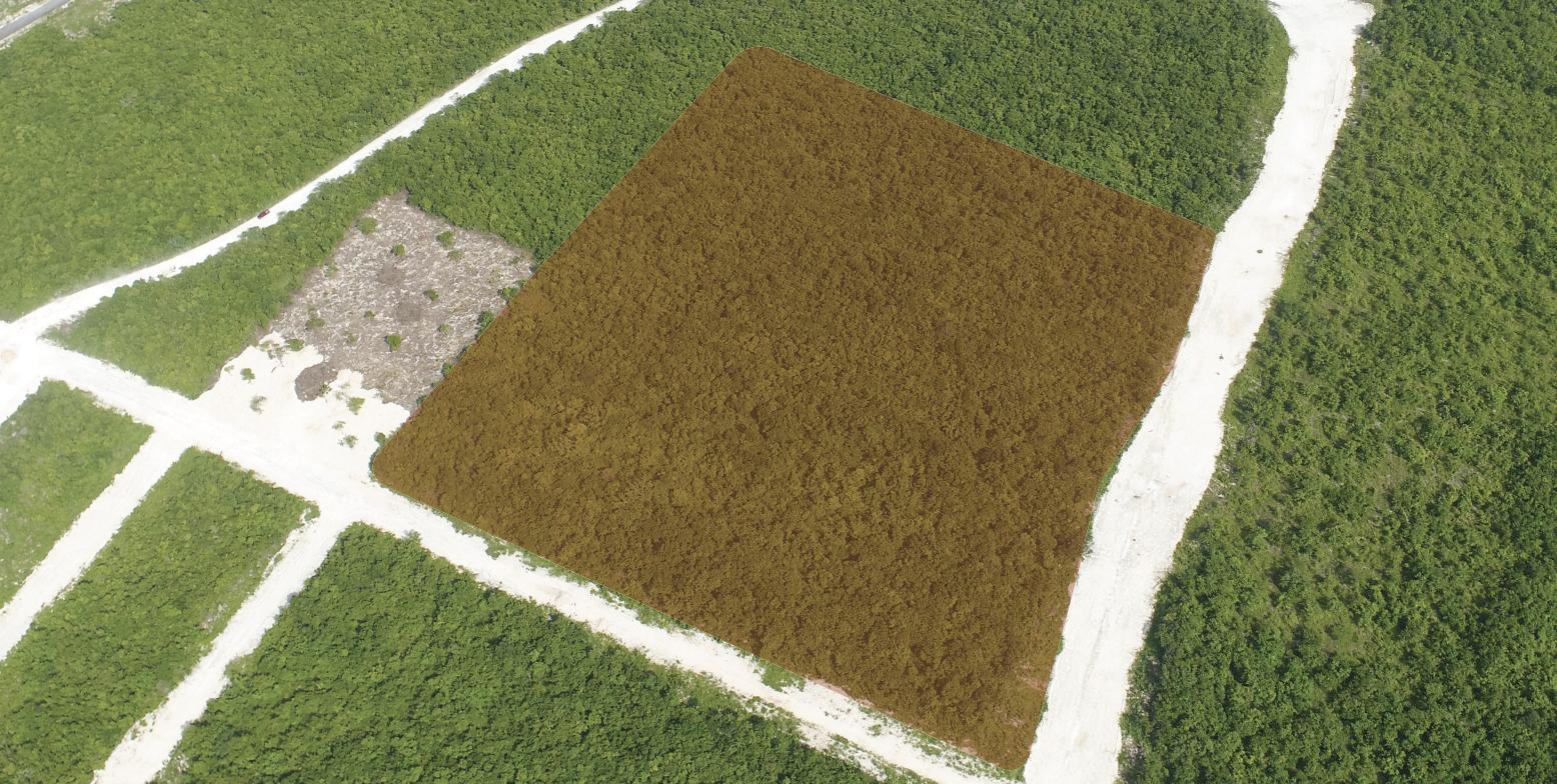 Roca Residences - Exclusive Residential Lots for Custom Villas in Prime Gated Community