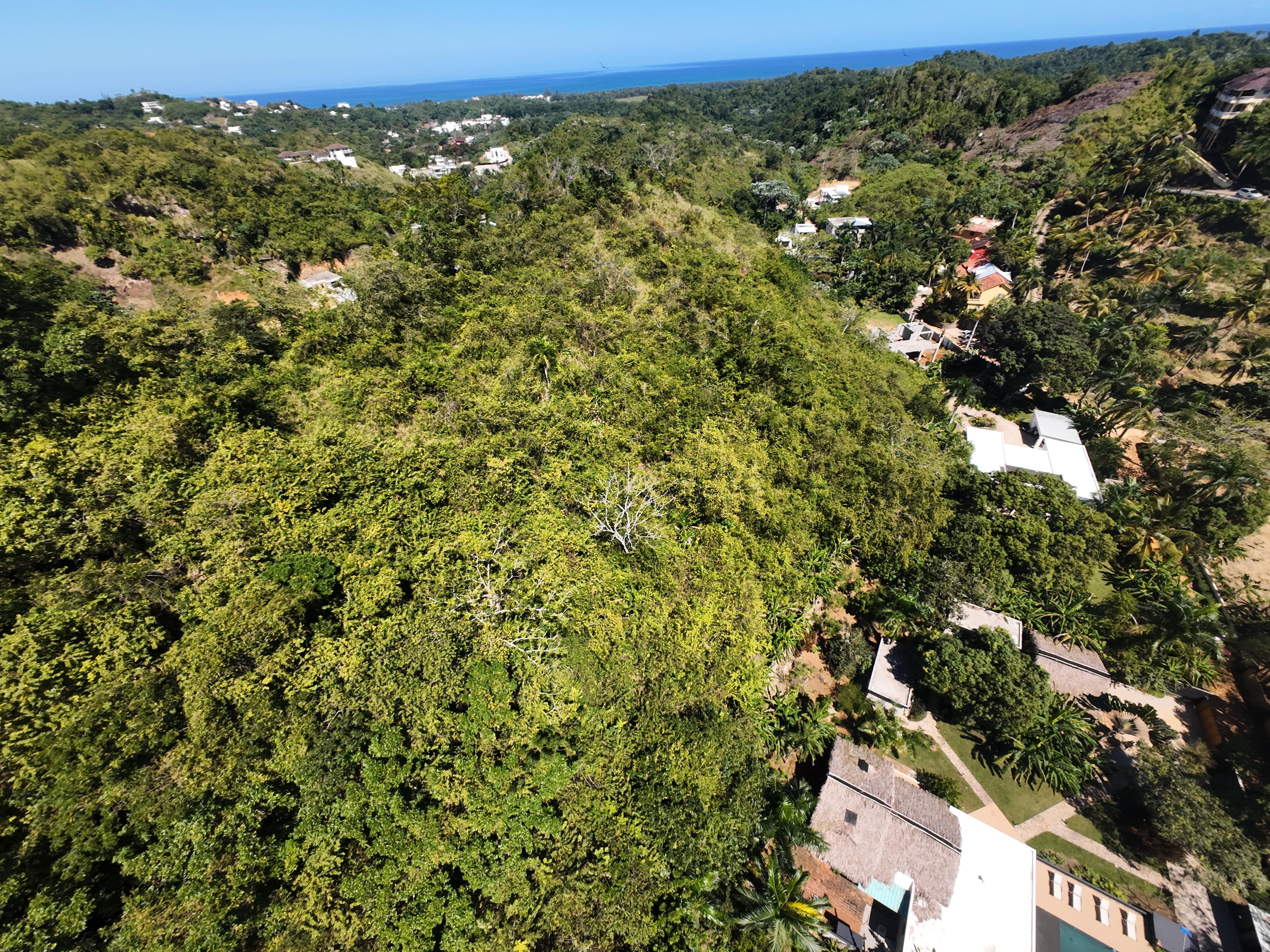 Oportunidad de oro: 6,770 m² listos para desarrollar.