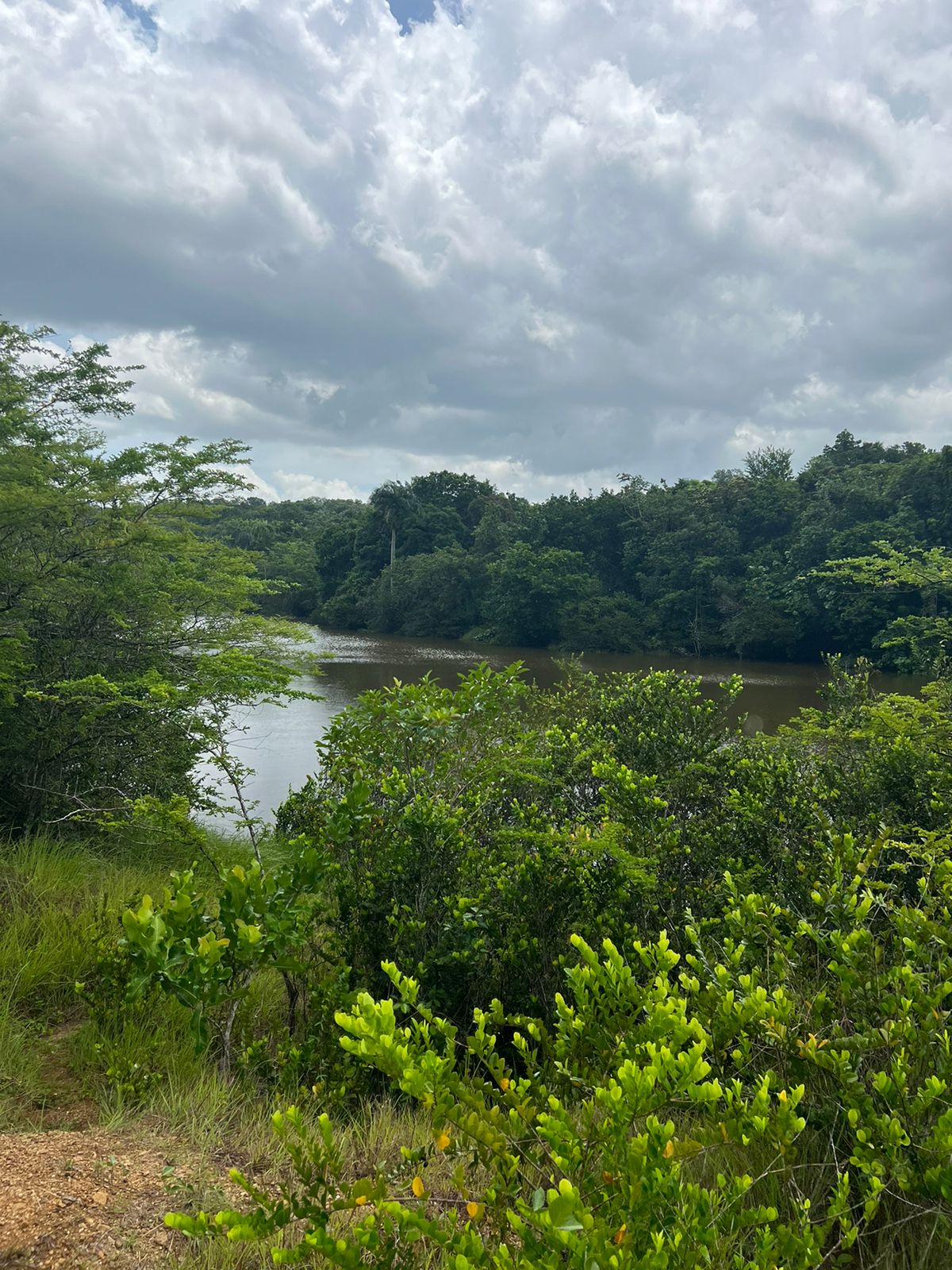 Lot in El Higüero
