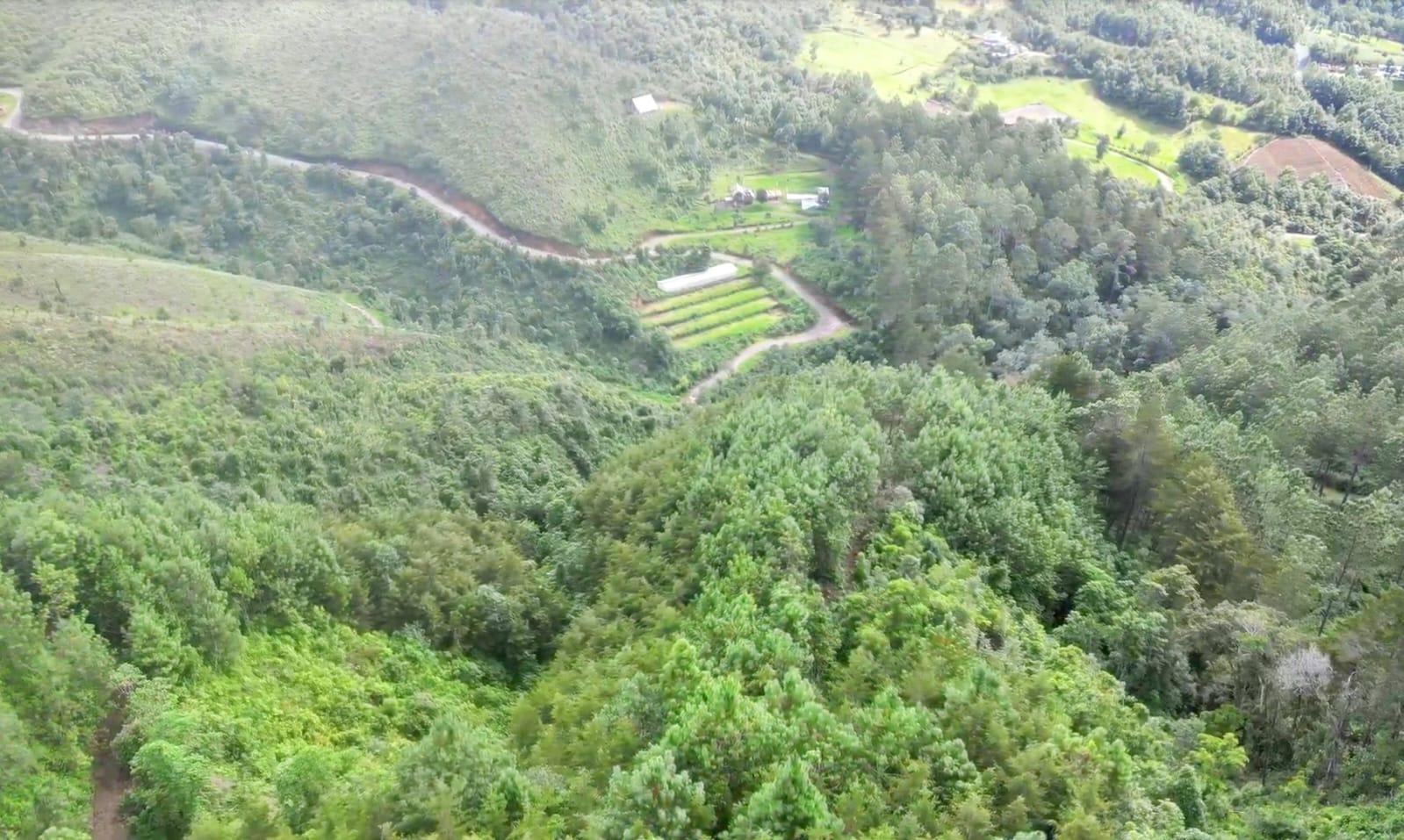 5941 - FINCA EN VENTA EN TECPAN 49 MANZANAS - ¡NATURALEZA PRODUCCION Y POTENCIAL EN UN SOLO LUGAR !