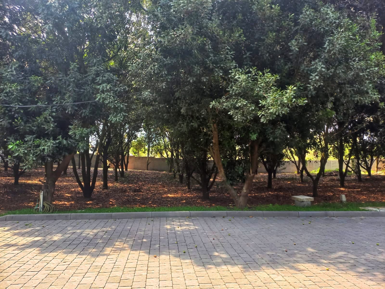 4923 TERRENO EN VENTA DENTRO DE RESIDENCIAL PRIVADO EN SAN MIGUEL DUEÑAS / PA