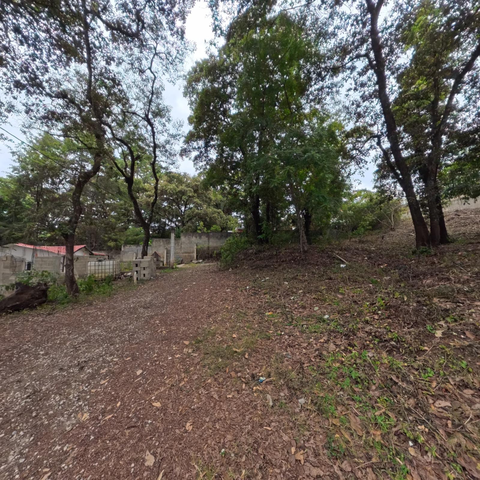 6272 - TERRENO EN VENTA RESIDENCIALES SAN JORGE YUMAR - MIXCO - FS