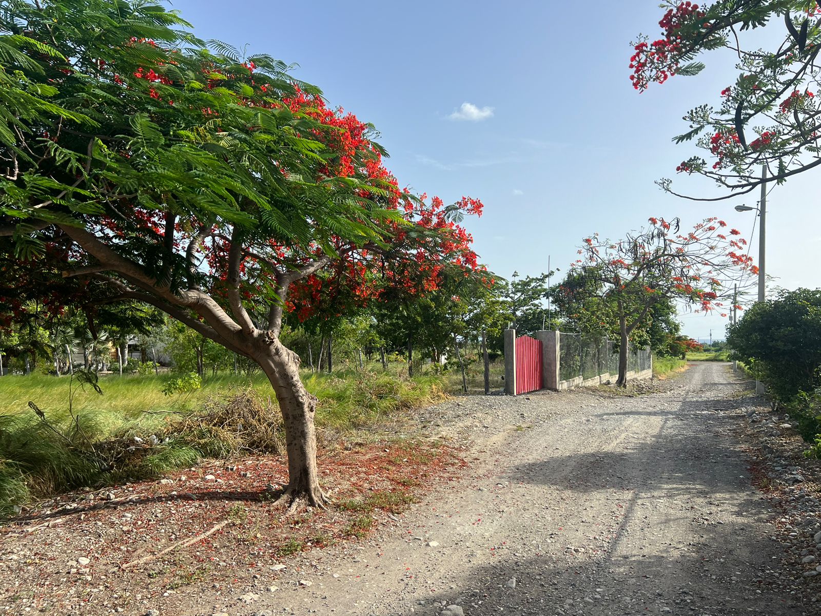 Land in Azua-Hatillo