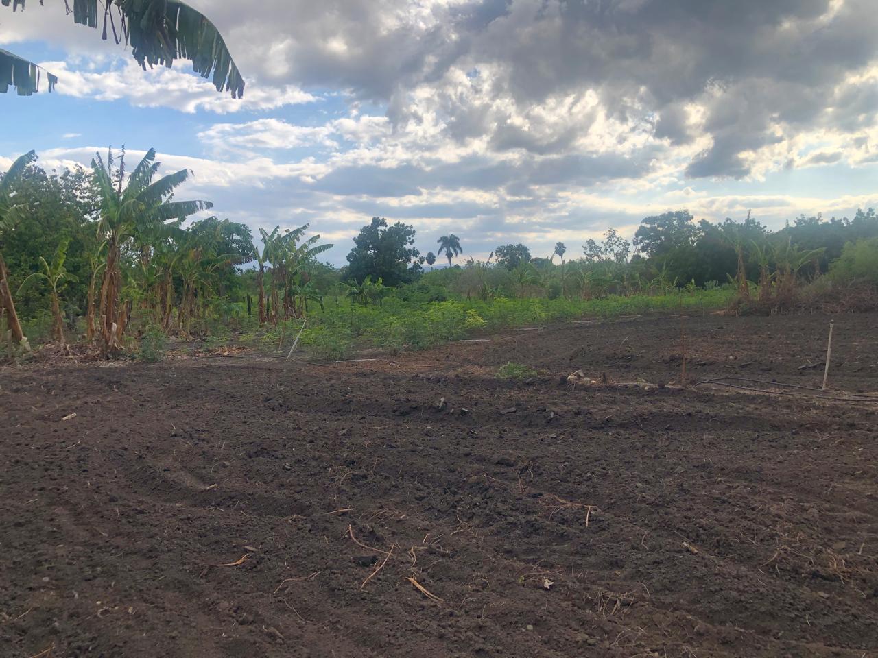TERRENO DE VENTA EN LA CIÉNAGA -SANTAGO