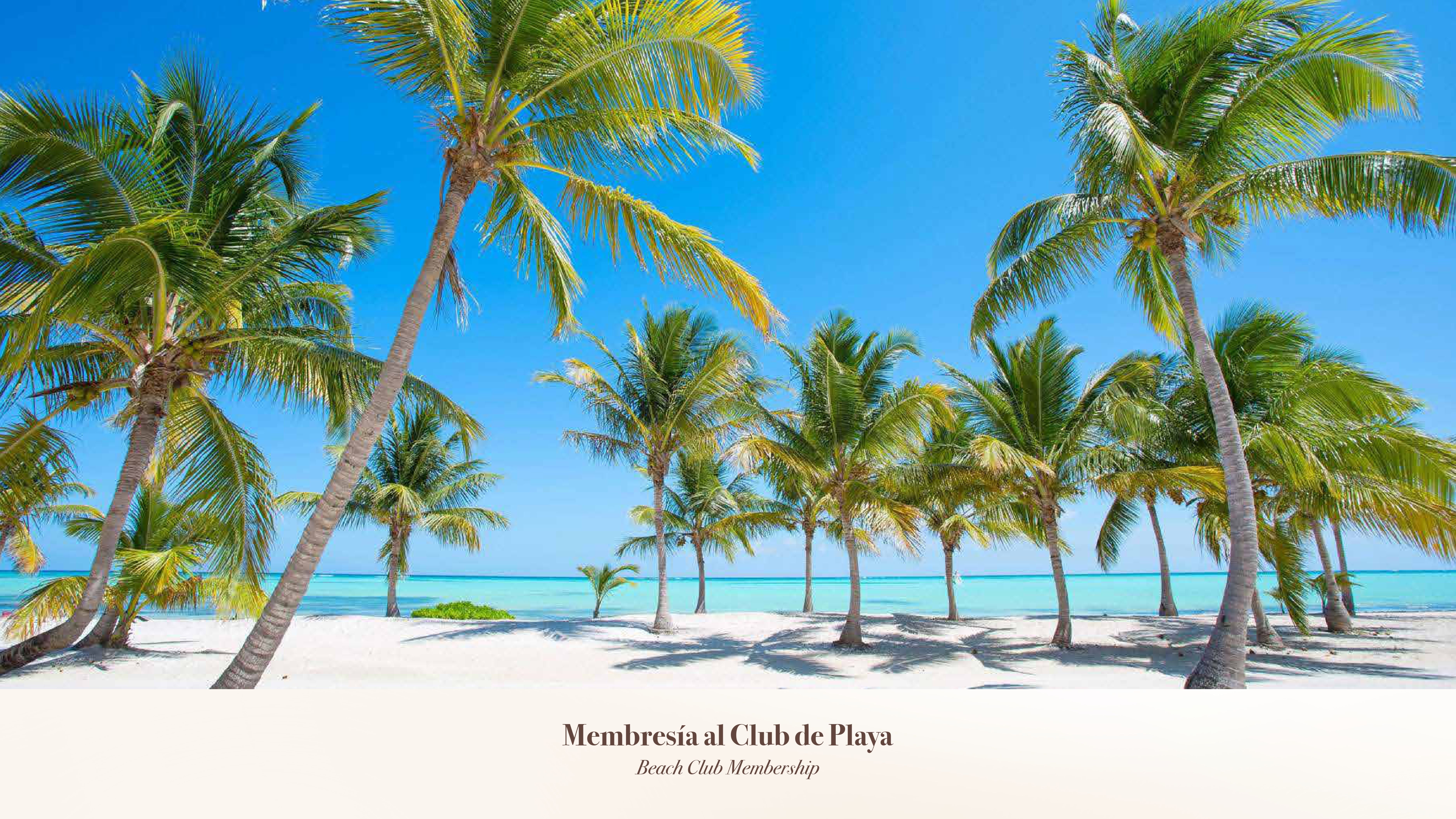 BROCHURE CITY PLACE JULIO2025_page-0035 BROCHURE CITY PLACE JULIO2025_page-0035