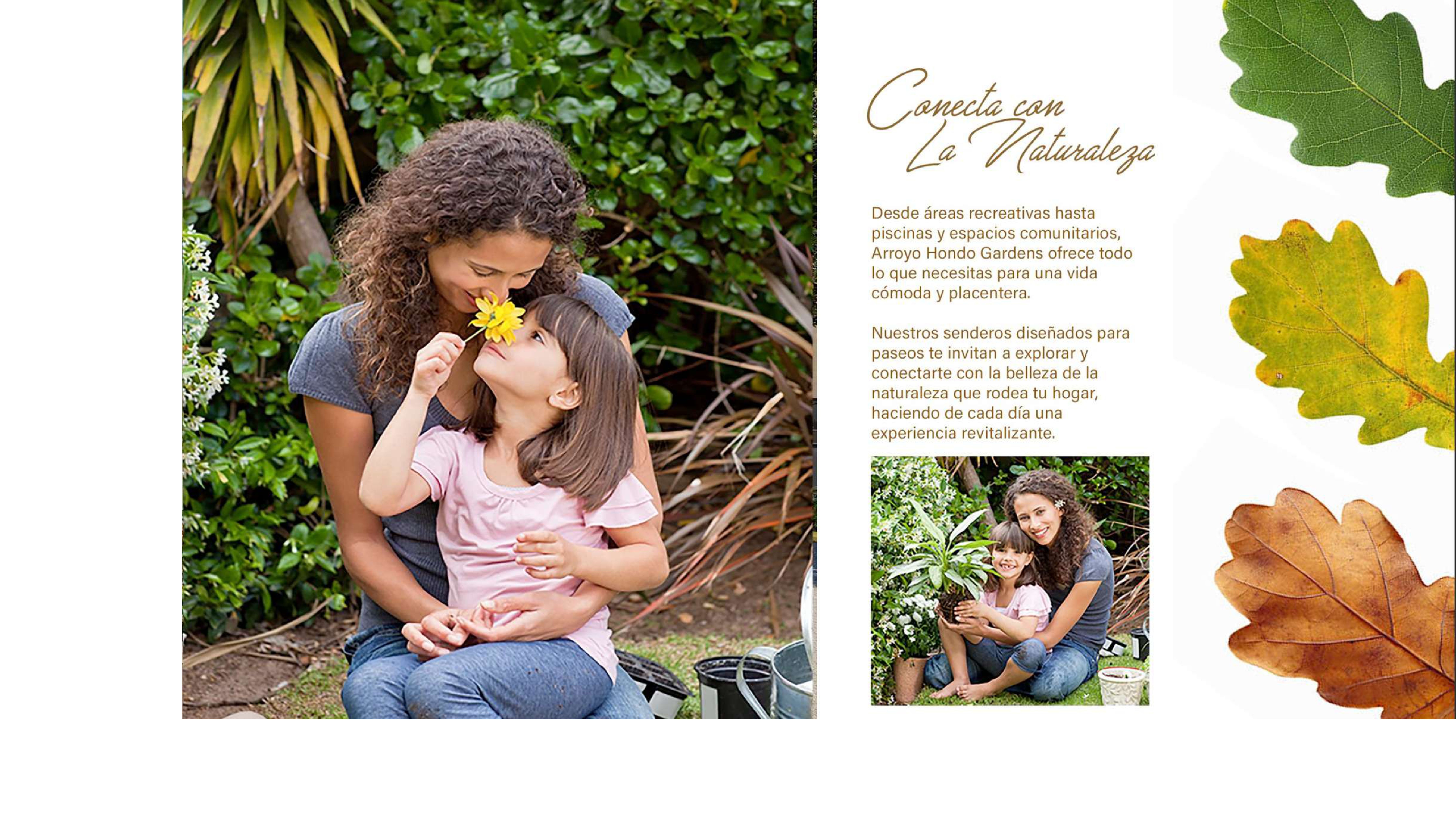 BROCHURE ARROYO HONDO GARDEN - NO LOGO_compressed (3)_page-0002 BROCHURE ARROYO HONDO GARDEN - NO LOGO_compressed (3)_page-0002