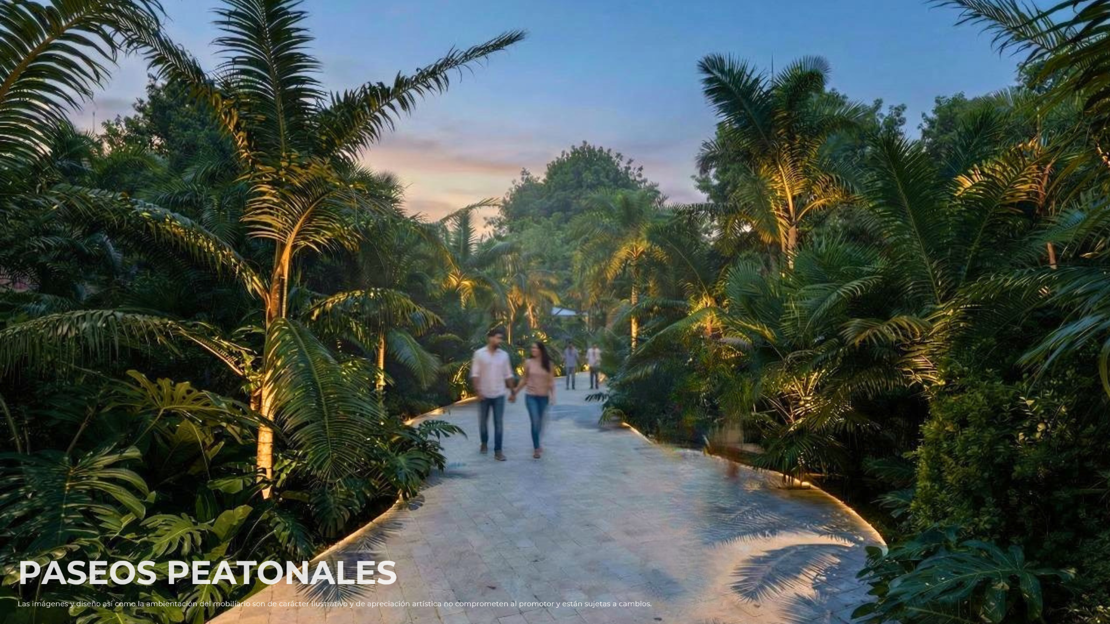 BROCHURE CORALINA-28 BROCHURE CORALINA-28