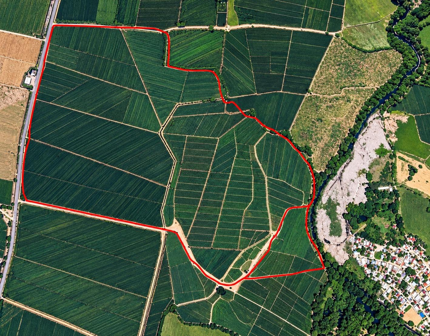 Finca Arrocera de 971 Tareas en Venta en Rincón, La Vega