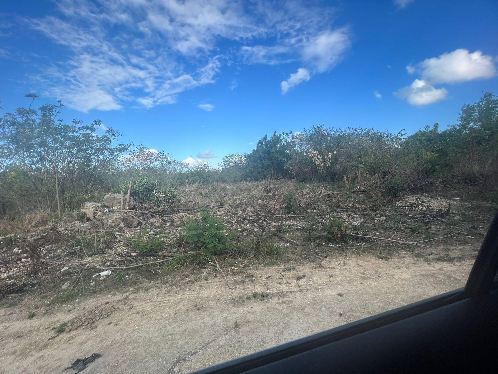 Lot in Km 10 De Cumayasa