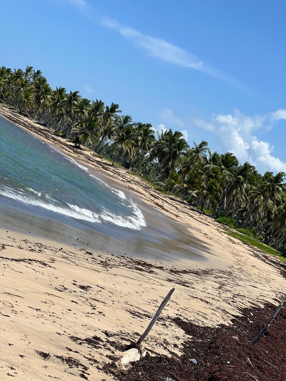 ❗️SE VENDE TERRO EN PLAYA VIRGEN PUNTA CANA❗️