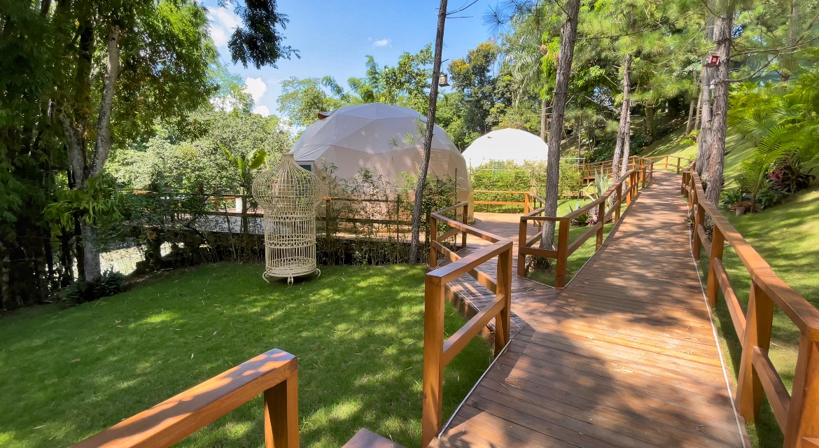 Luxury Glamping