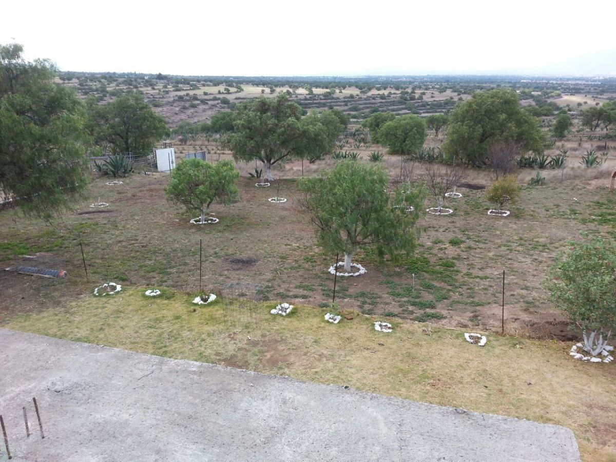 Venta de Terreno para cabeza de Ganado en Otumba
