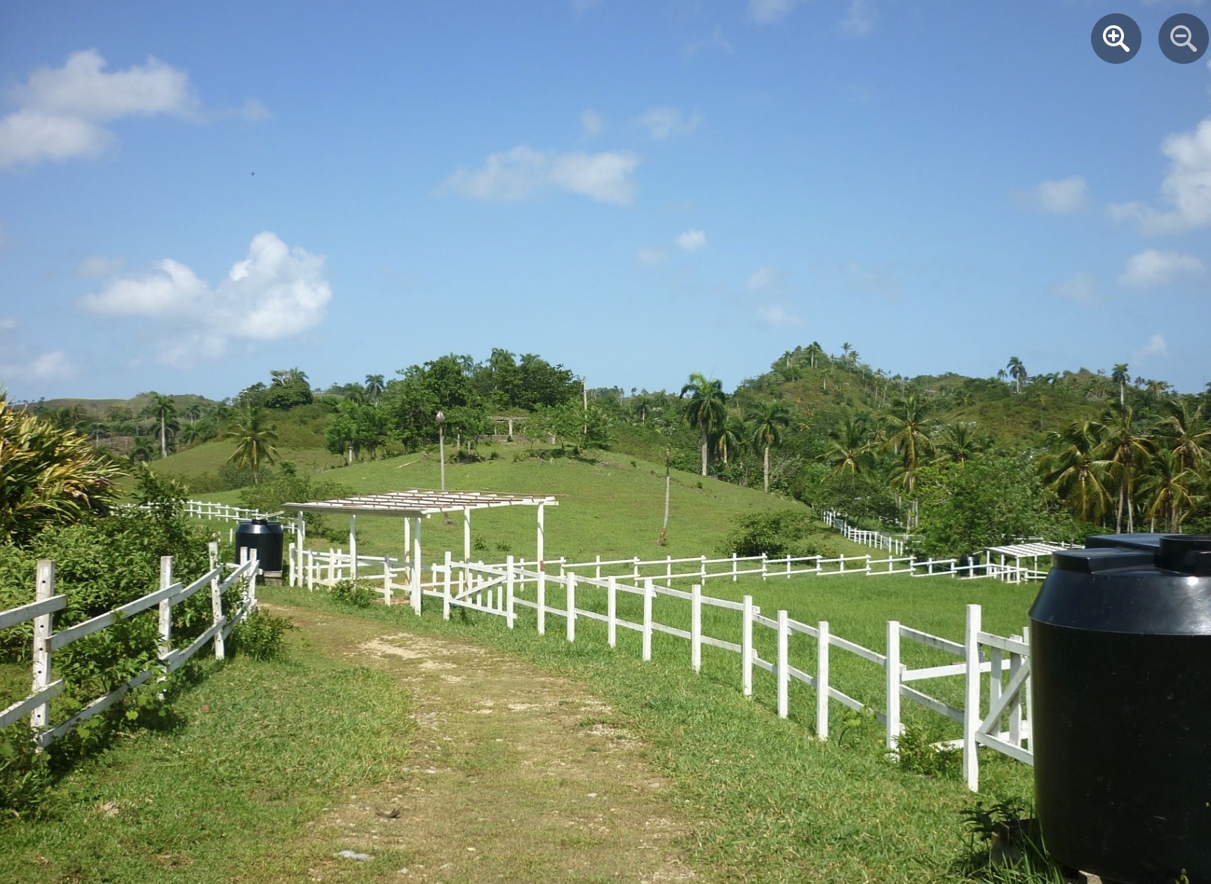 Farm for sale Las Terrenas