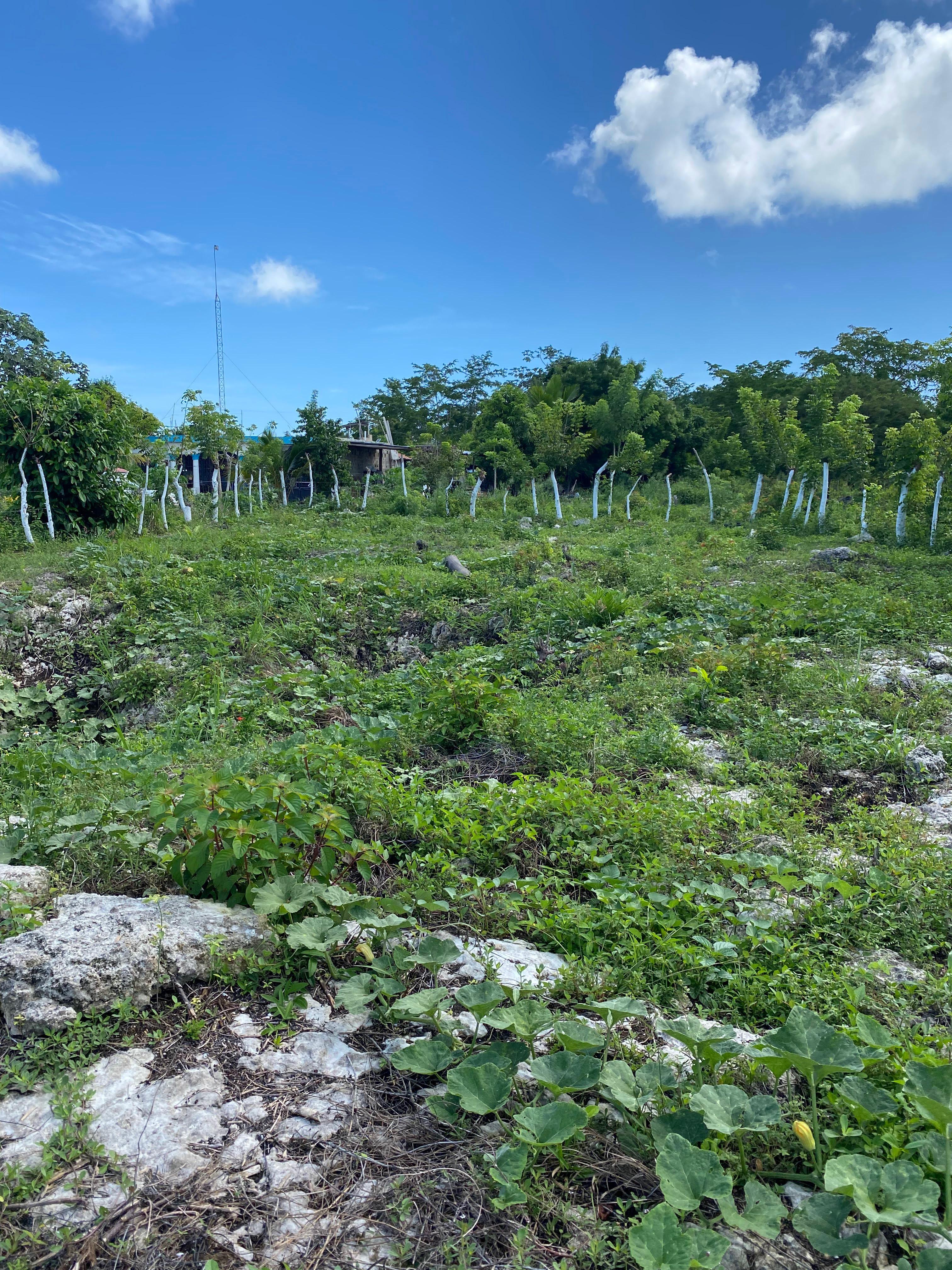 TERRENO PUEBLO BAVARO PUNTA CANA