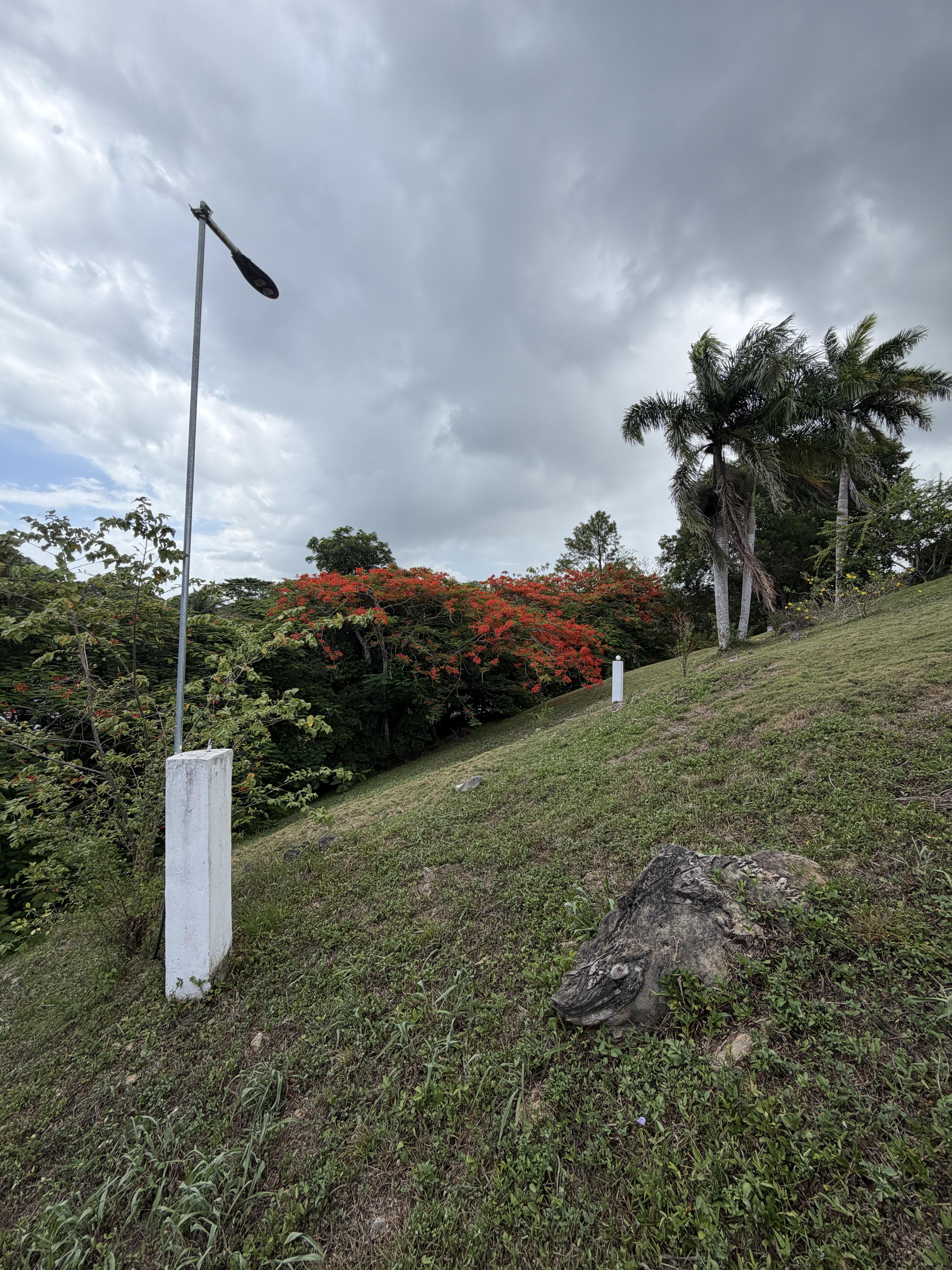 Terreno exclusivo en La Ceiba, a pocos minutos de Playa Bonita