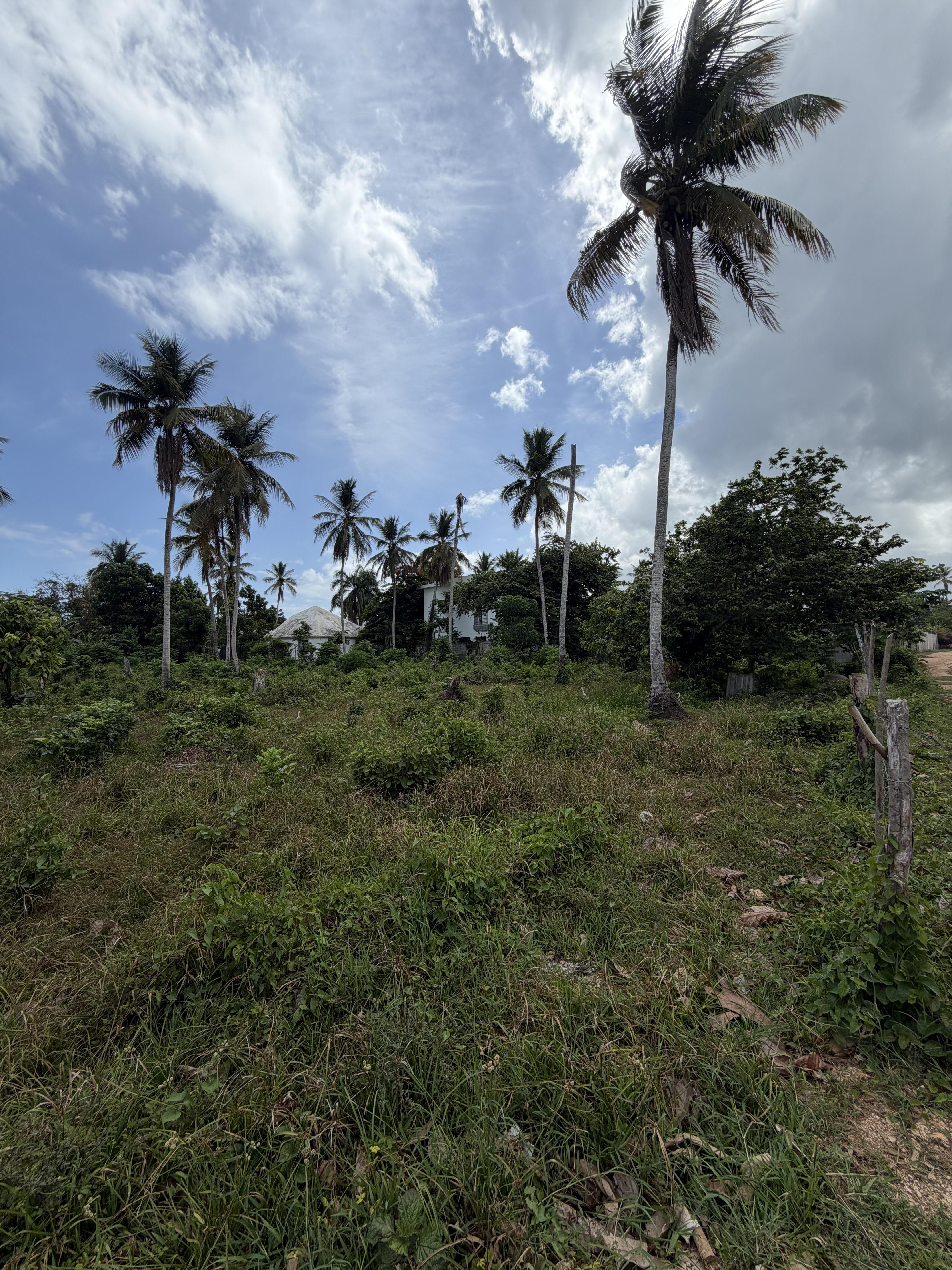 Terreno exclusivo en La Ceiba, a pocos minutos de Playa Bonita