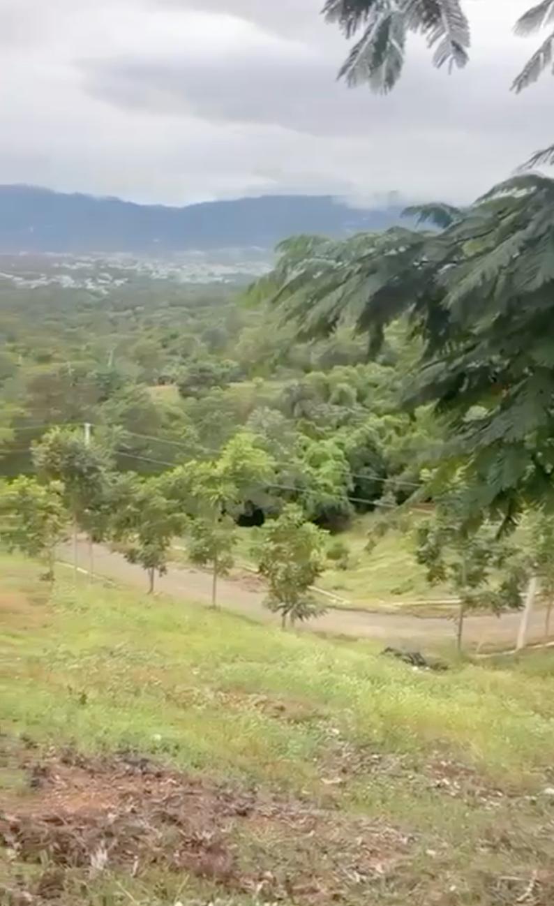 Solar en Venta (Proyecto Villas El Gorrión)