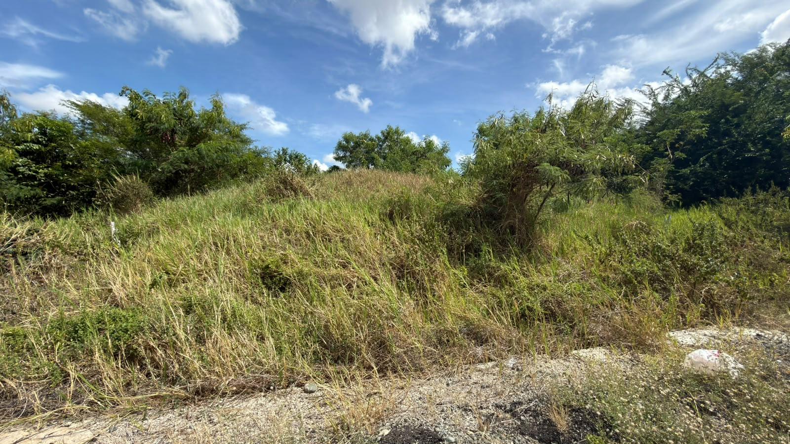 Solar en Venta ( Proyecto Paseo de Gurabo)