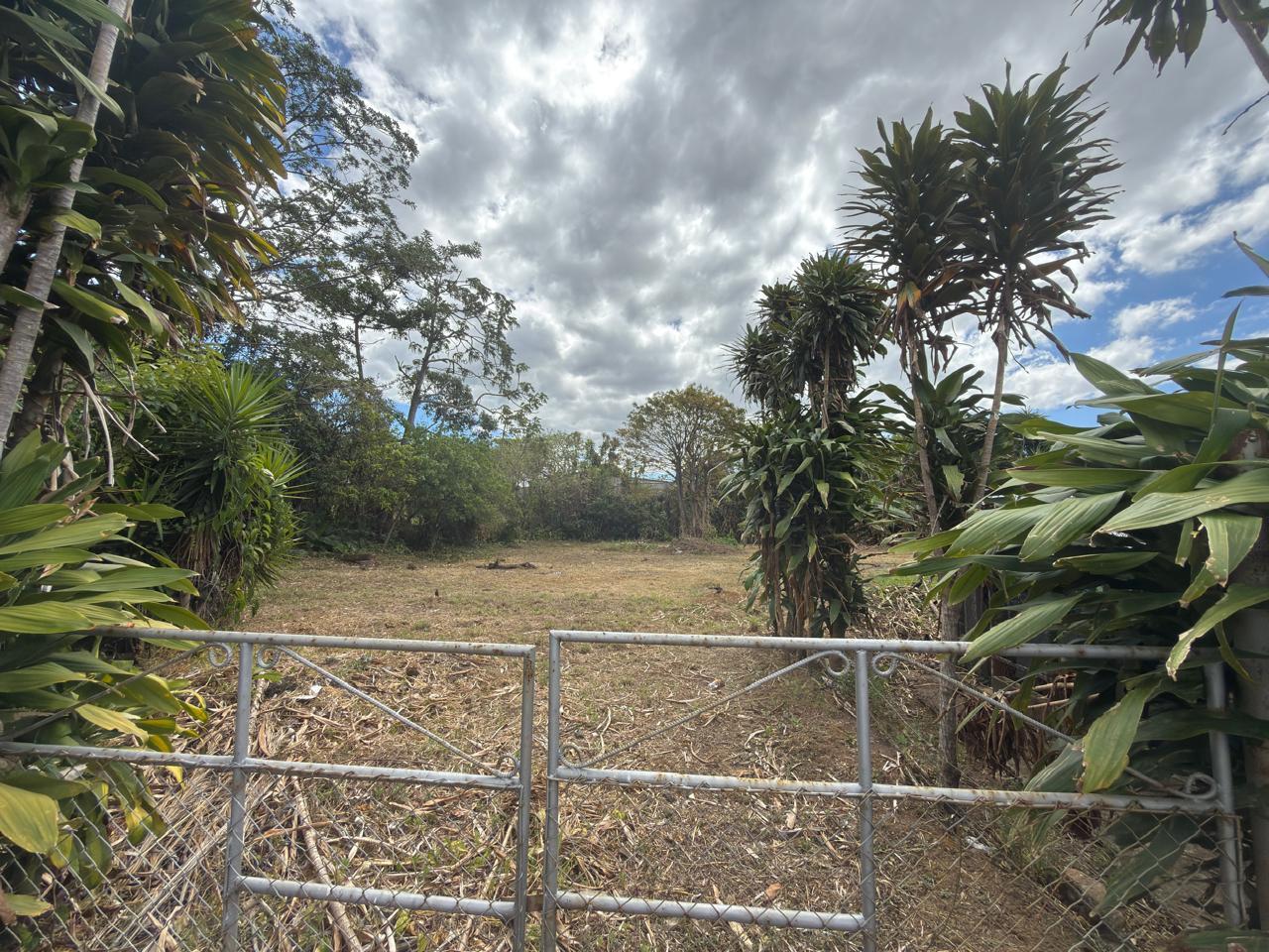 Land at San Pedro