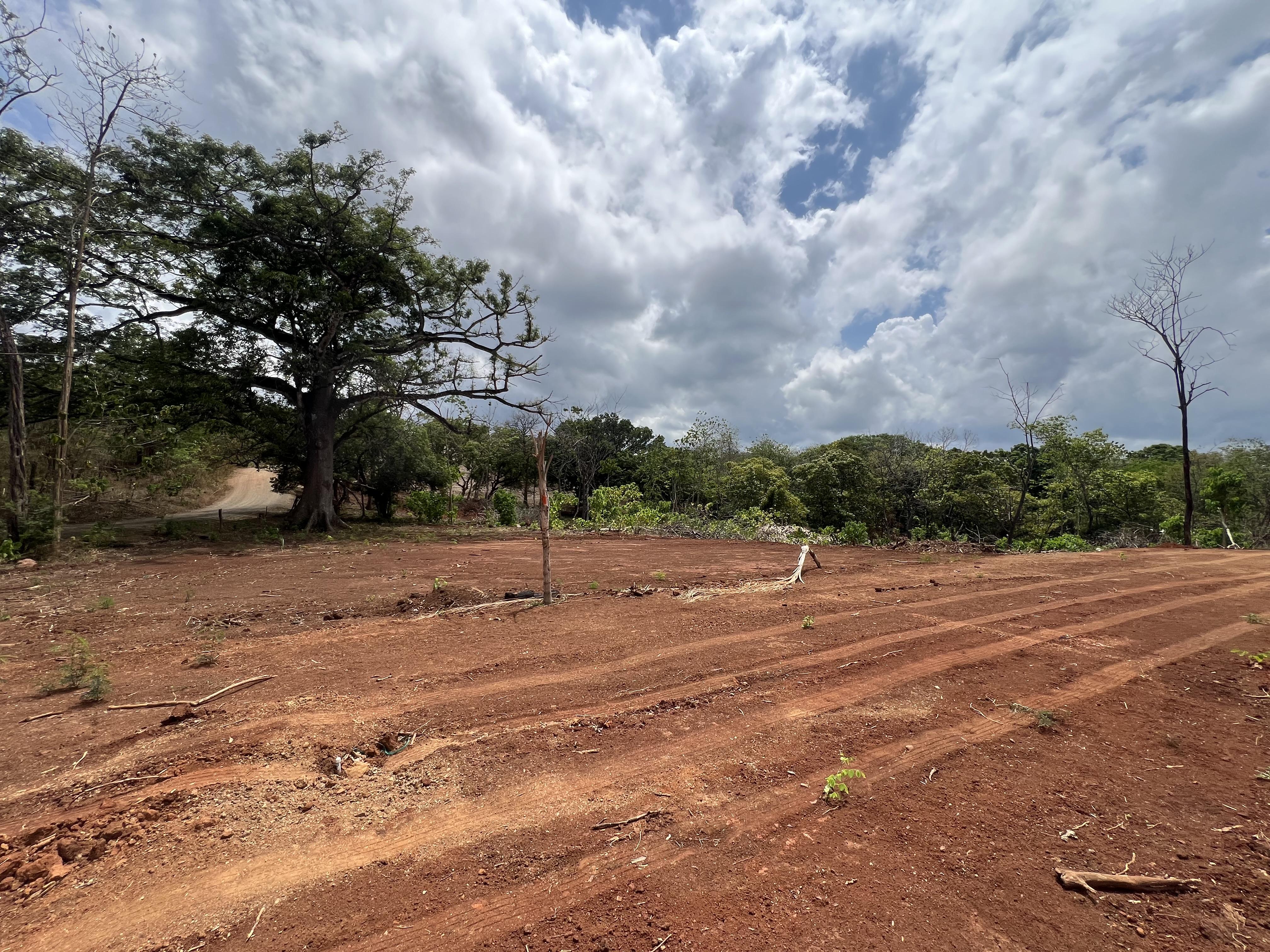 Terreno en Santa Cruz